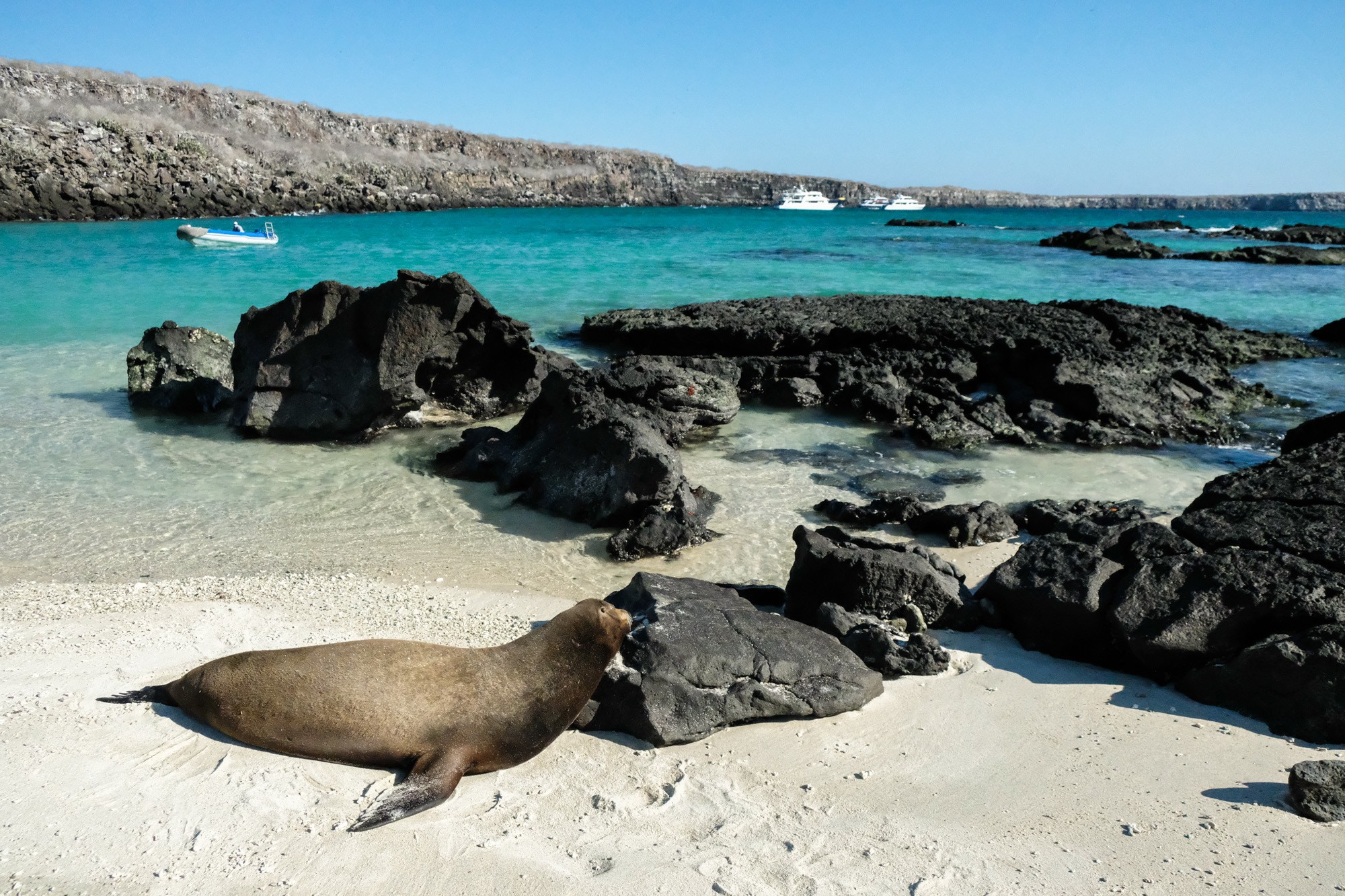 Genovesa Island, Galapagos