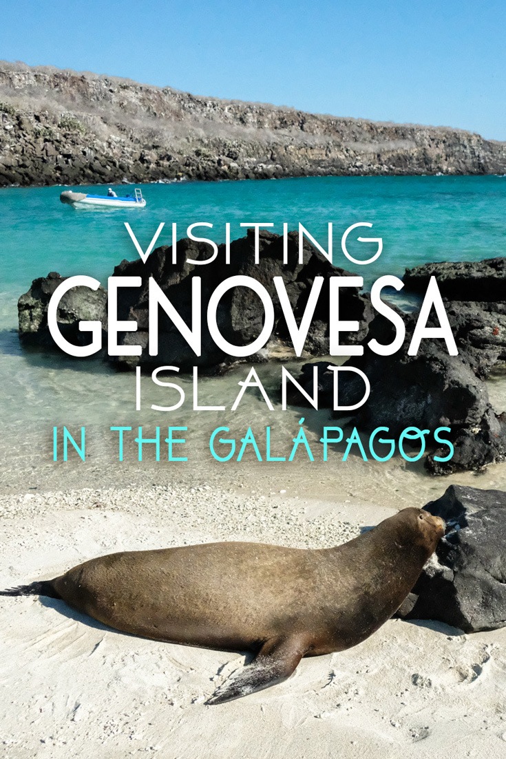 Genovesa Island in the Galapagos