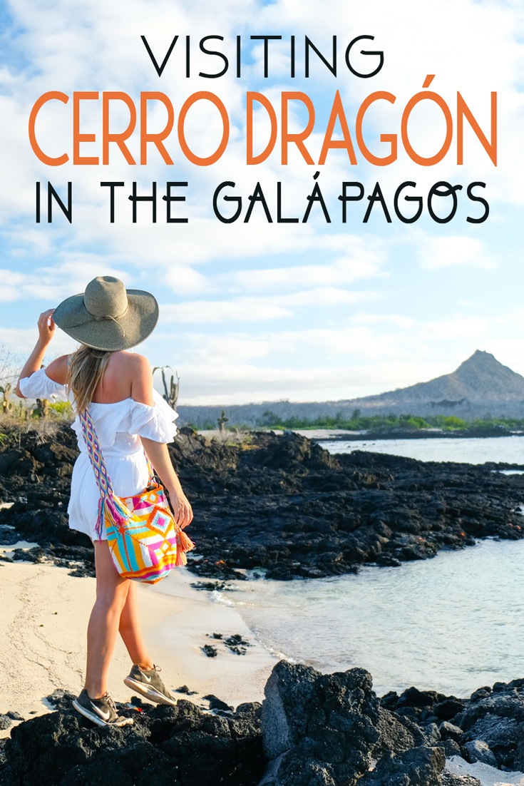 Cerro Dragon Galapagos