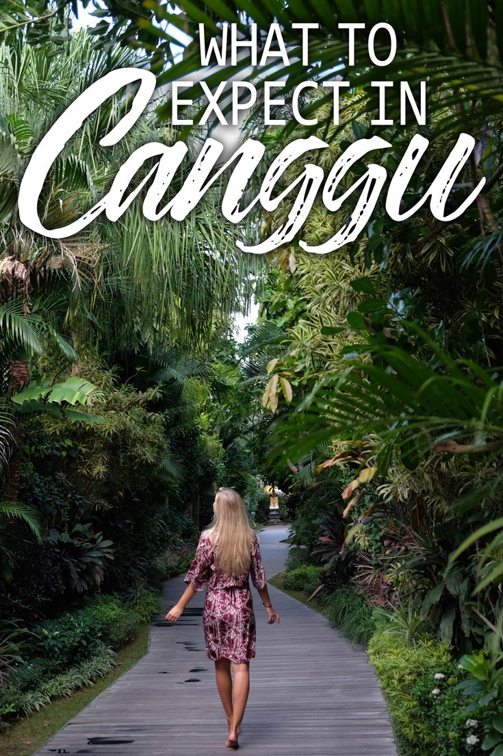 The Ultimate Canggu Travel Guide • The Blonde Abroad