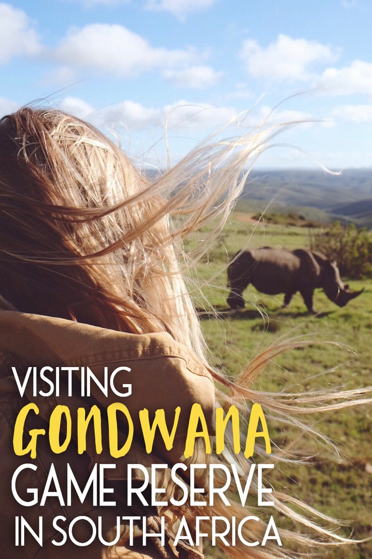 Gondwana Game Reserve in South Africa