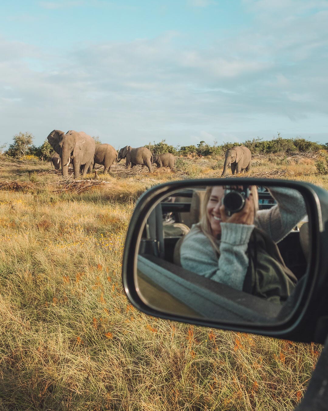 Essentials for Heading on an African Safari