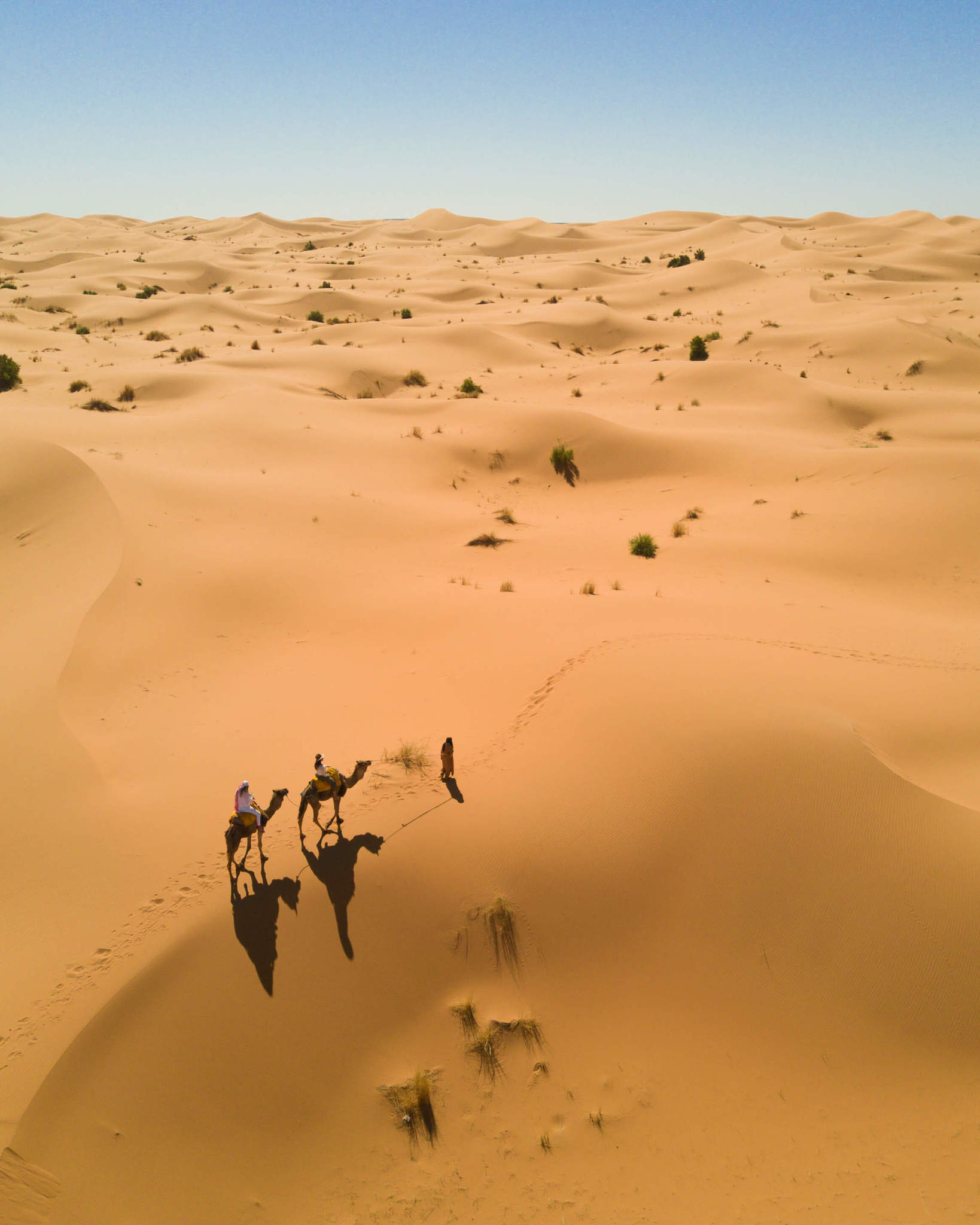 blondes riding camels in sahara desert