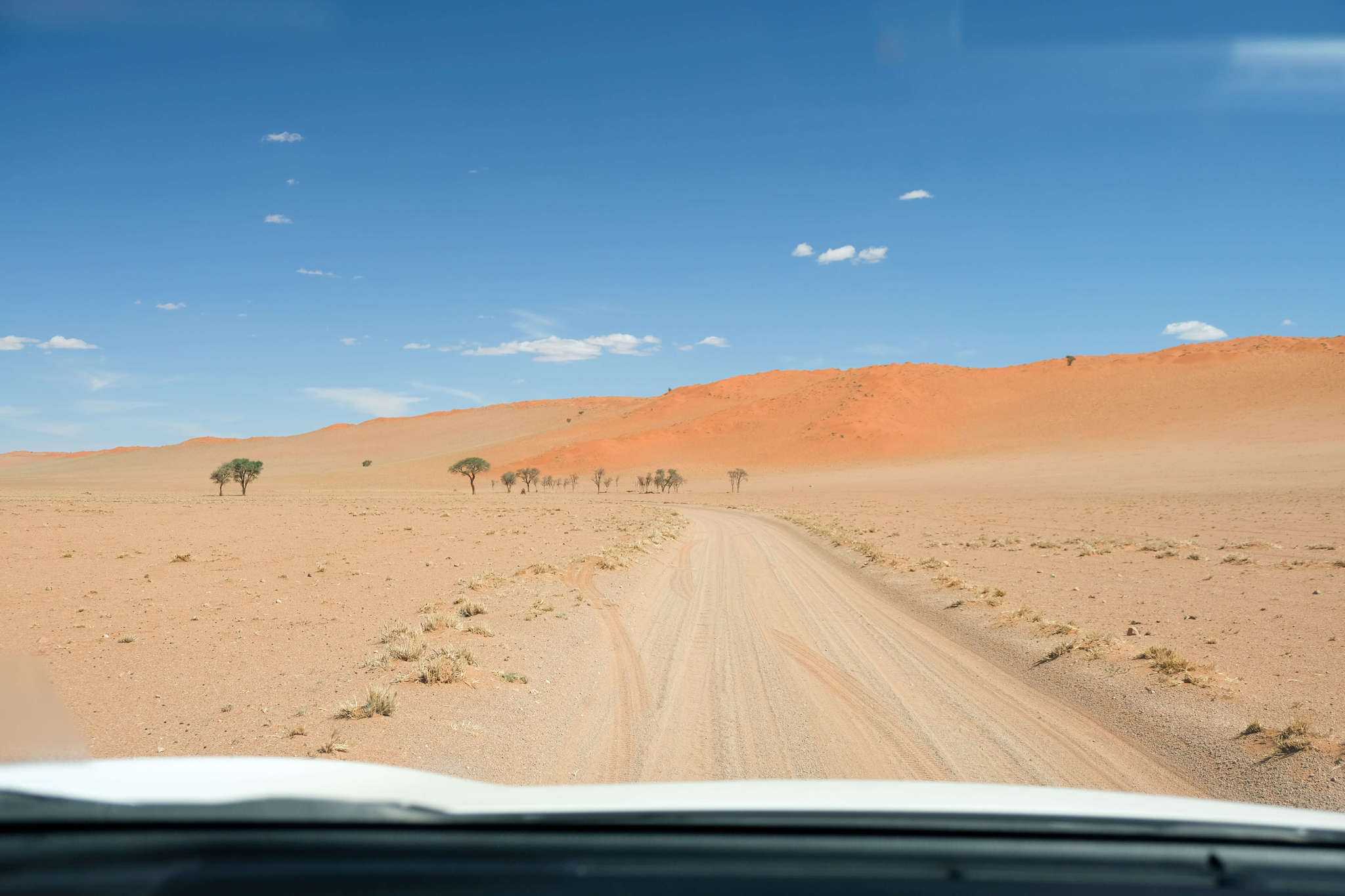 namibia drive