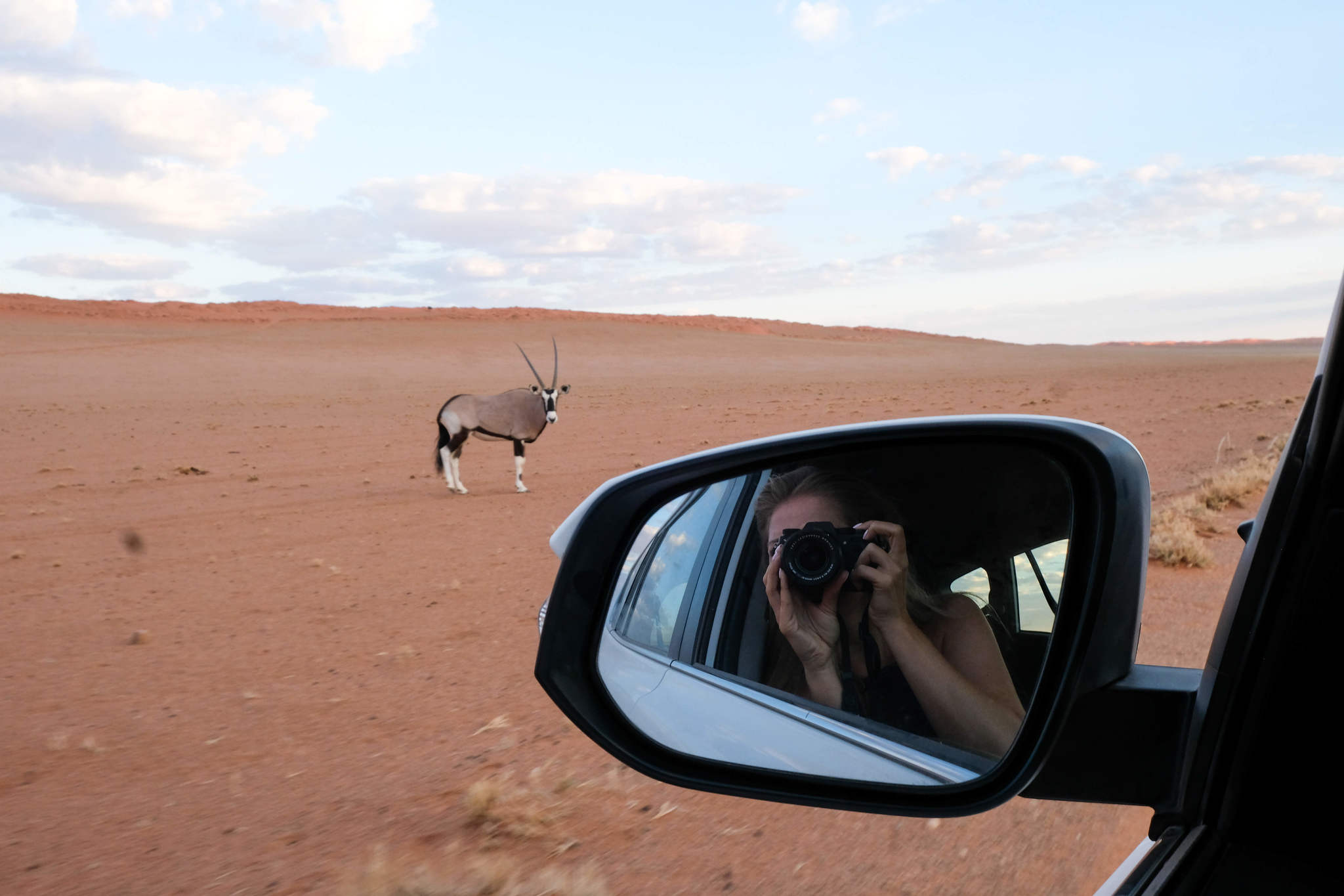 Animal Sighting in Namibia