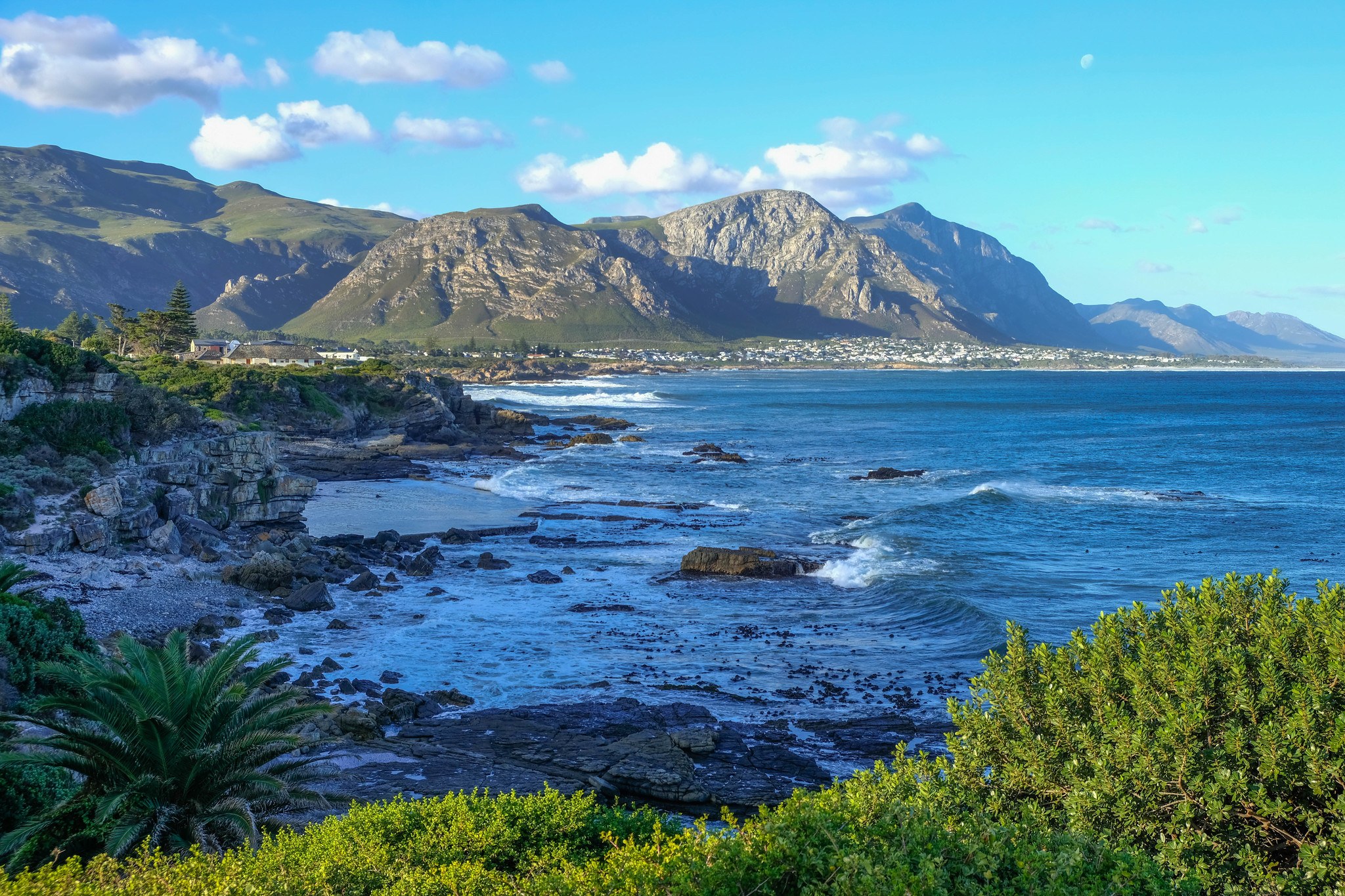 Hermanus coastline