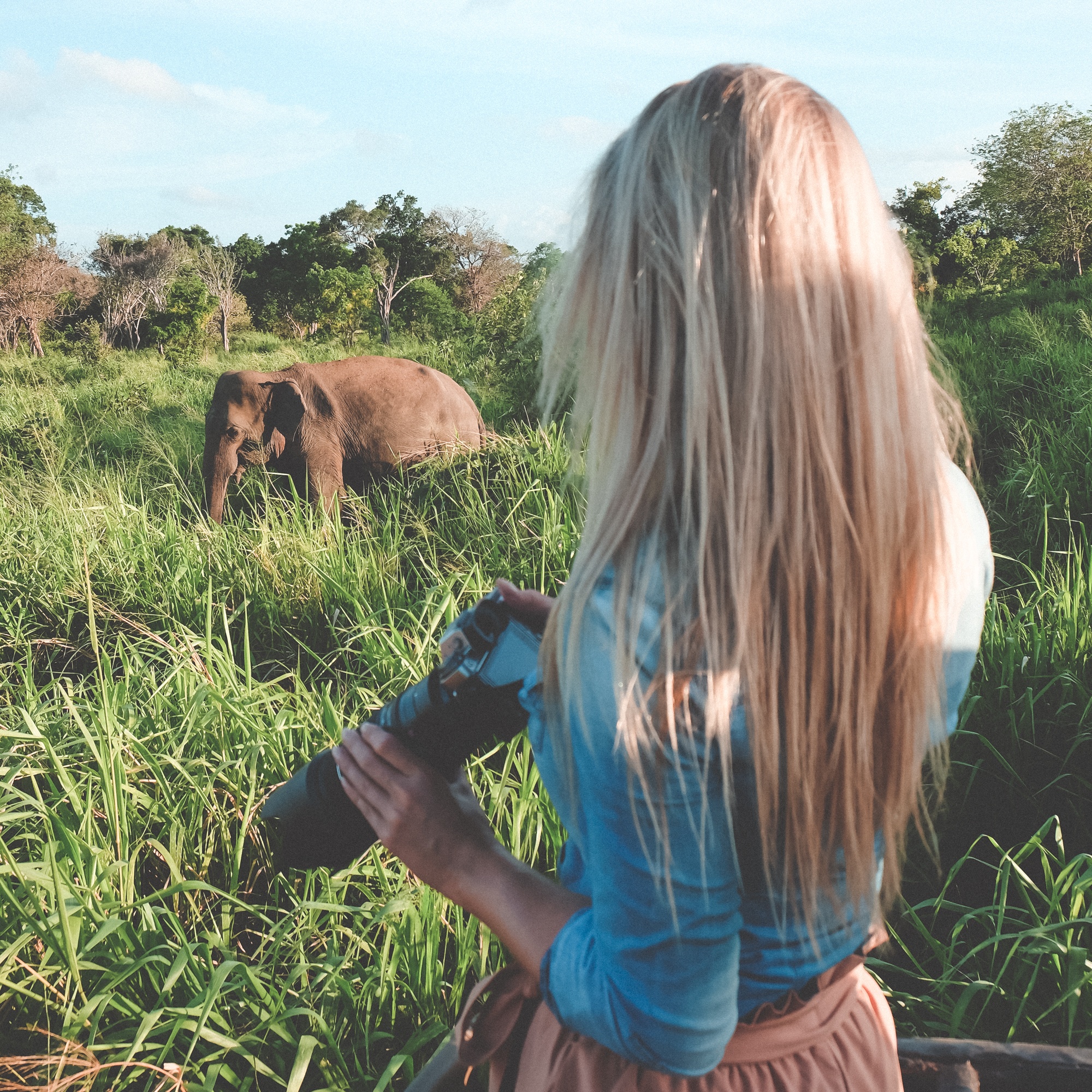 Safari in Sri Lanka