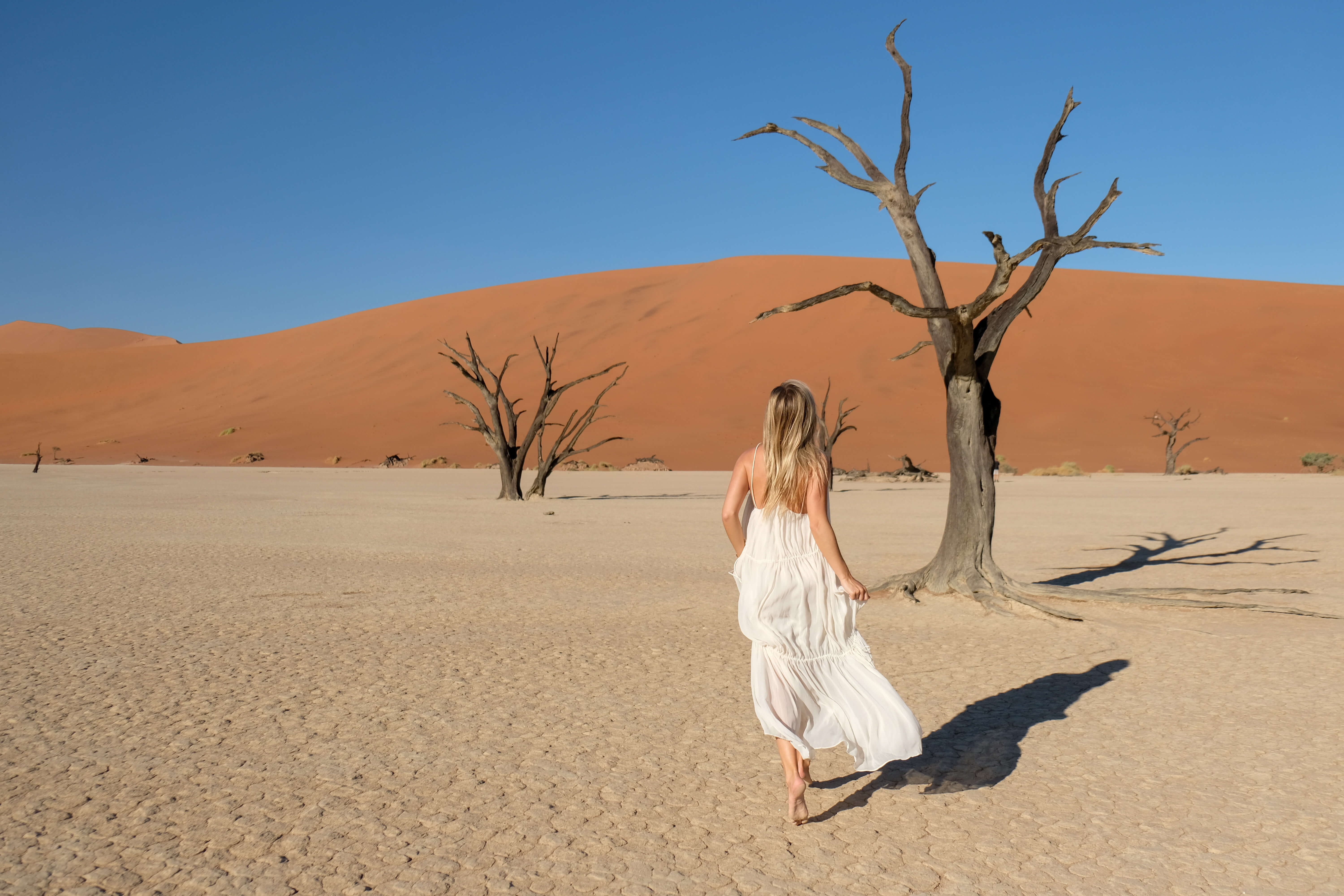 blonde in deadvlei