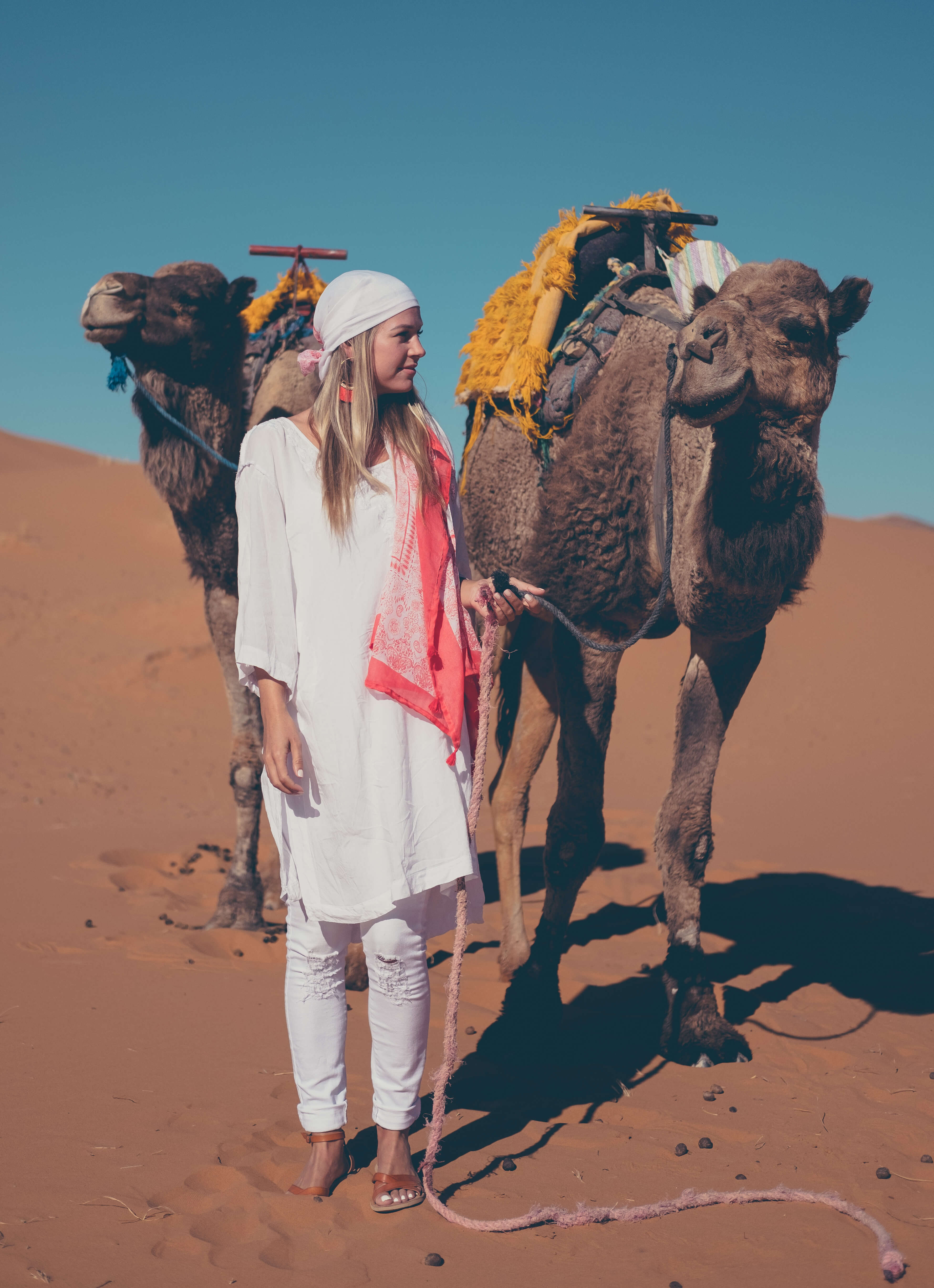 blonde with camels in sahara desert