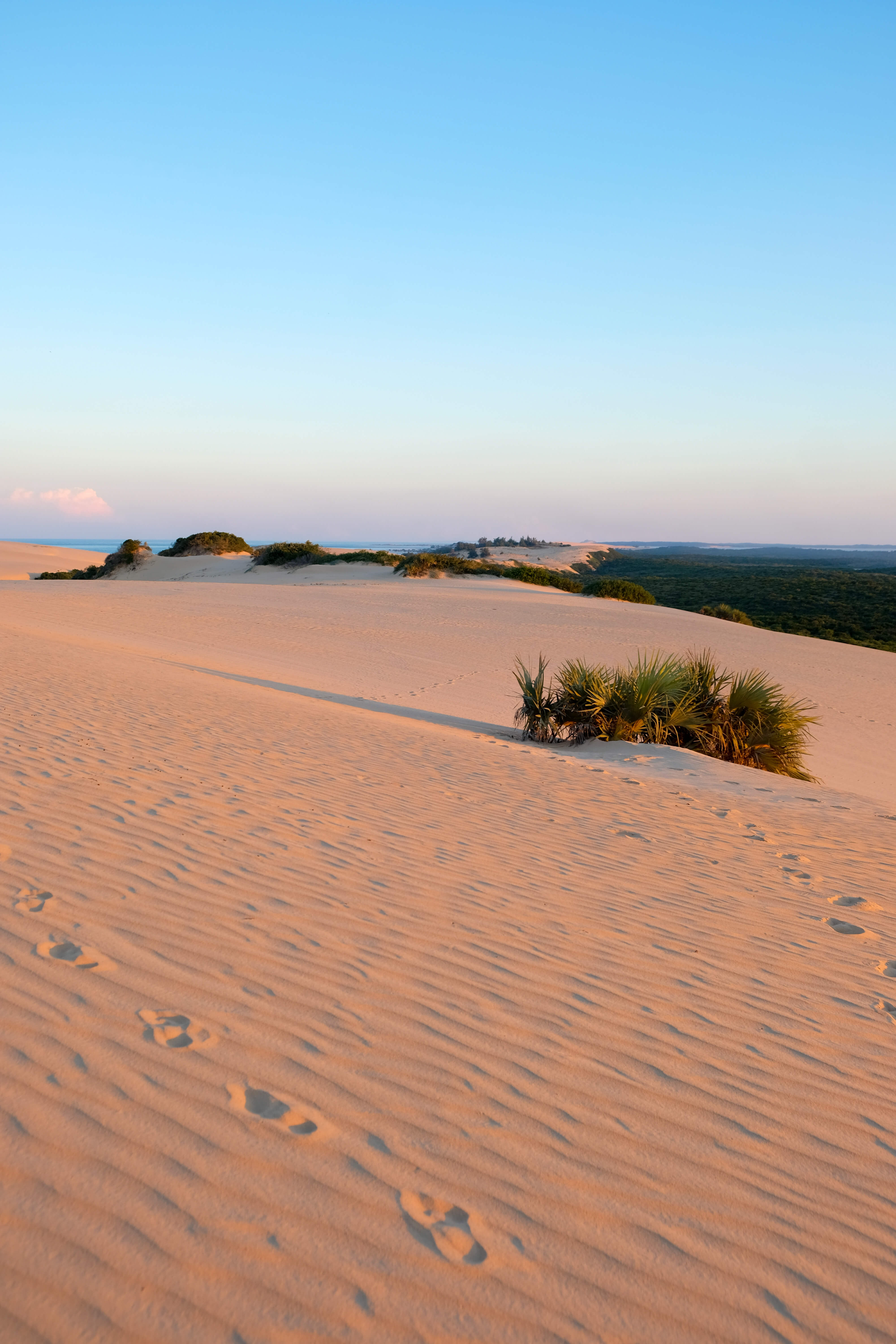 mozambique desert