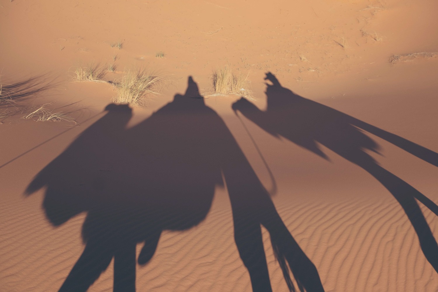 Glamping in Morocco's Sahara Desert