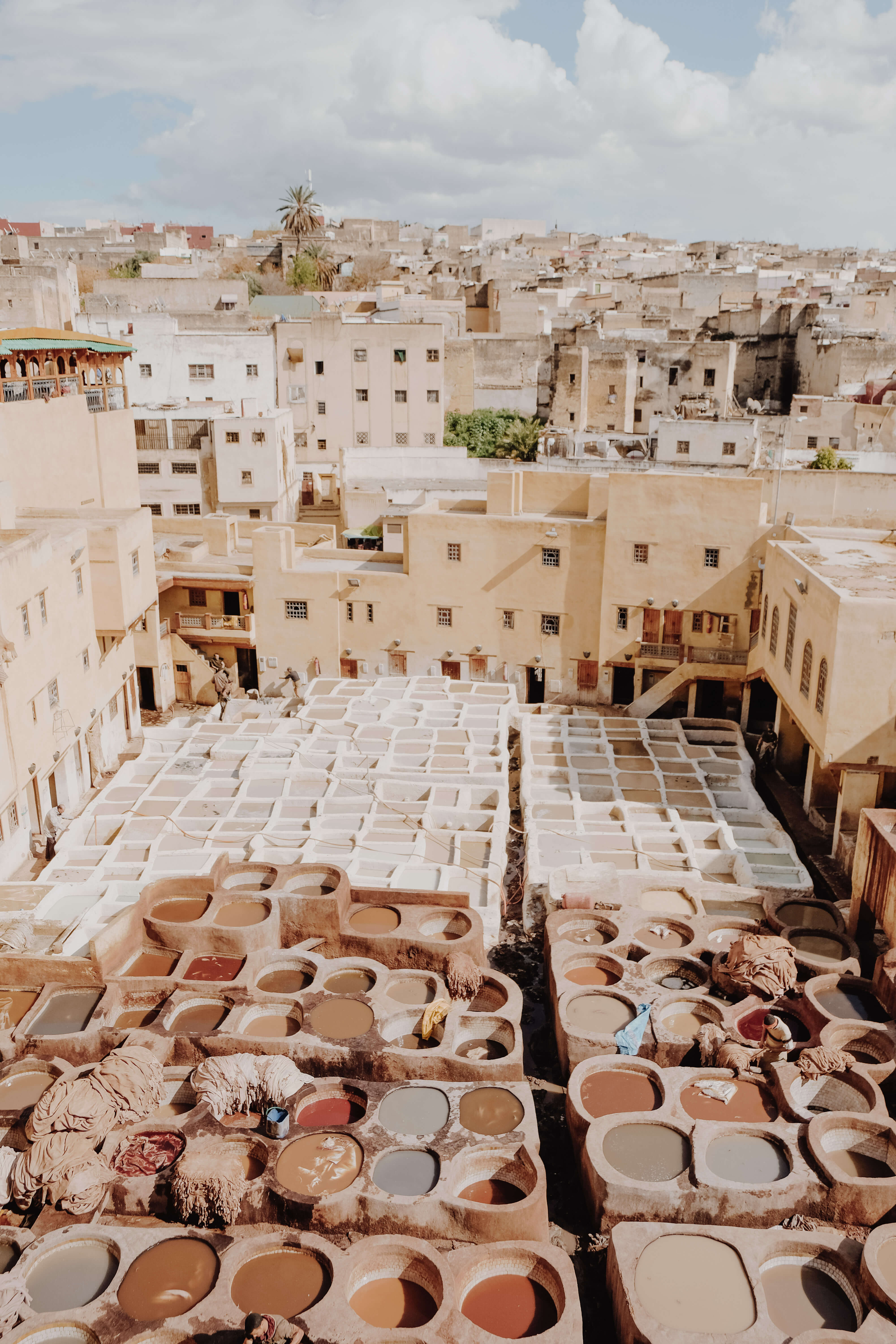 Fes Tannery