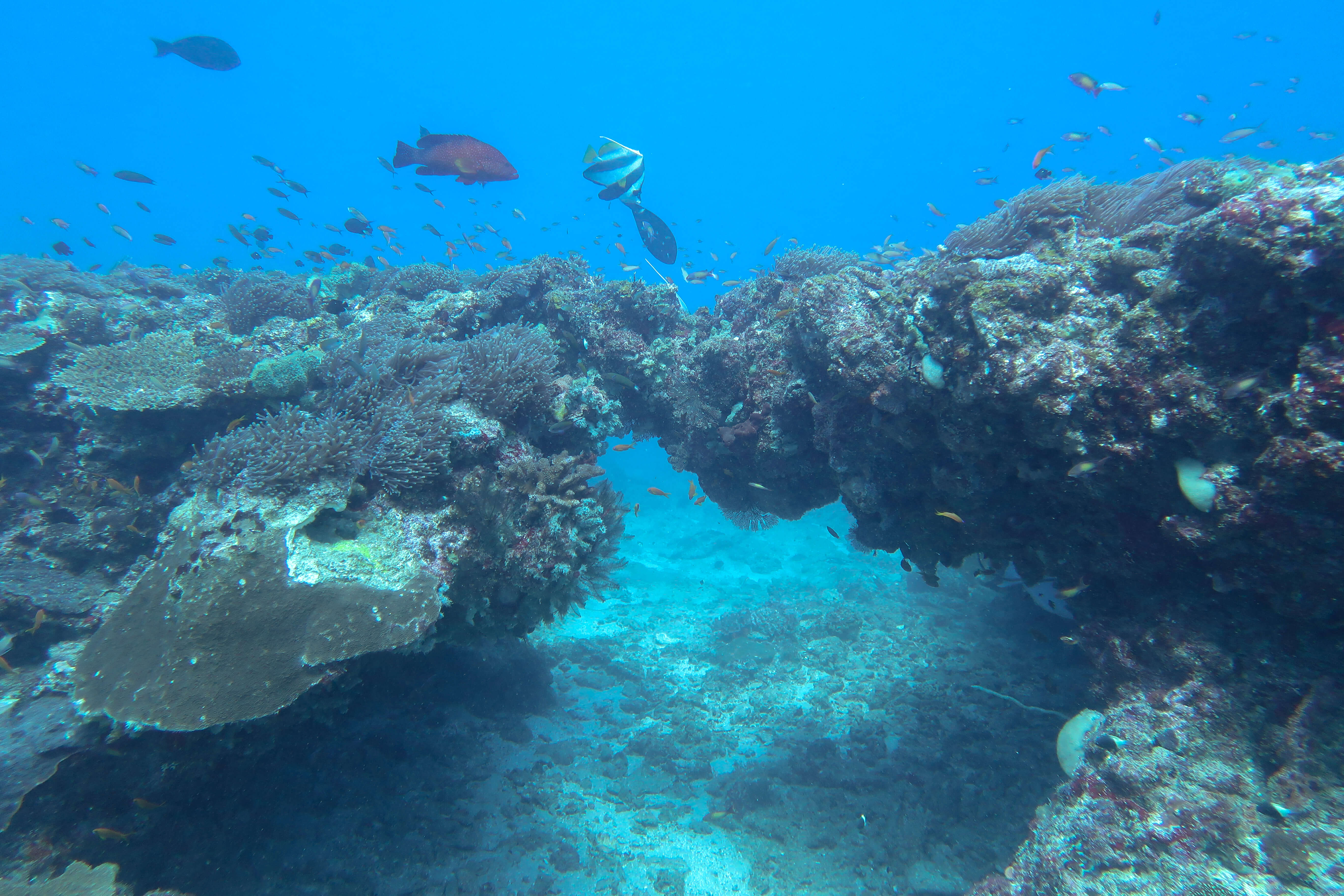 underwater mozambique