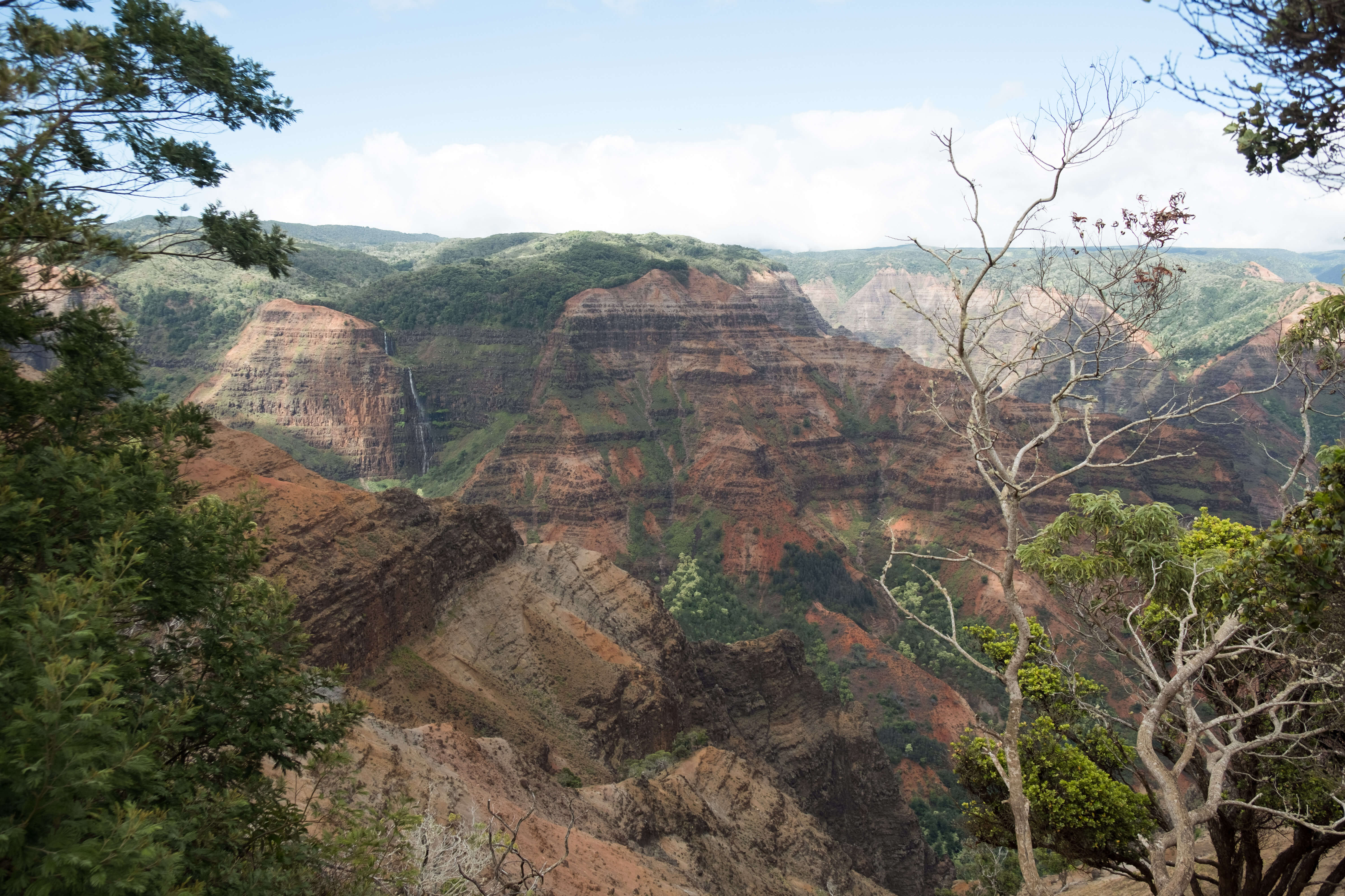 Hiking through Waimea Canyon