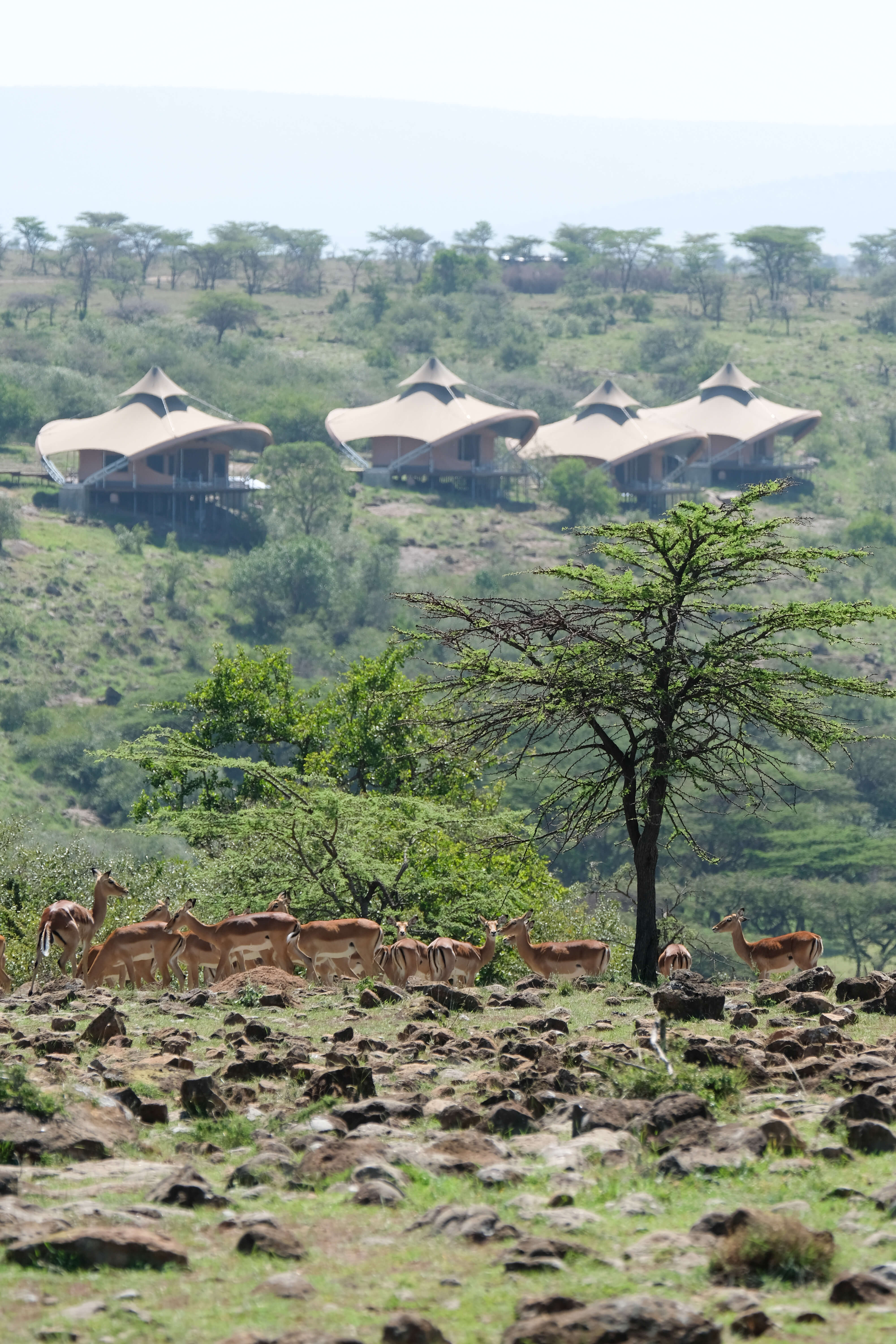 Mahali Mzuri Lodging