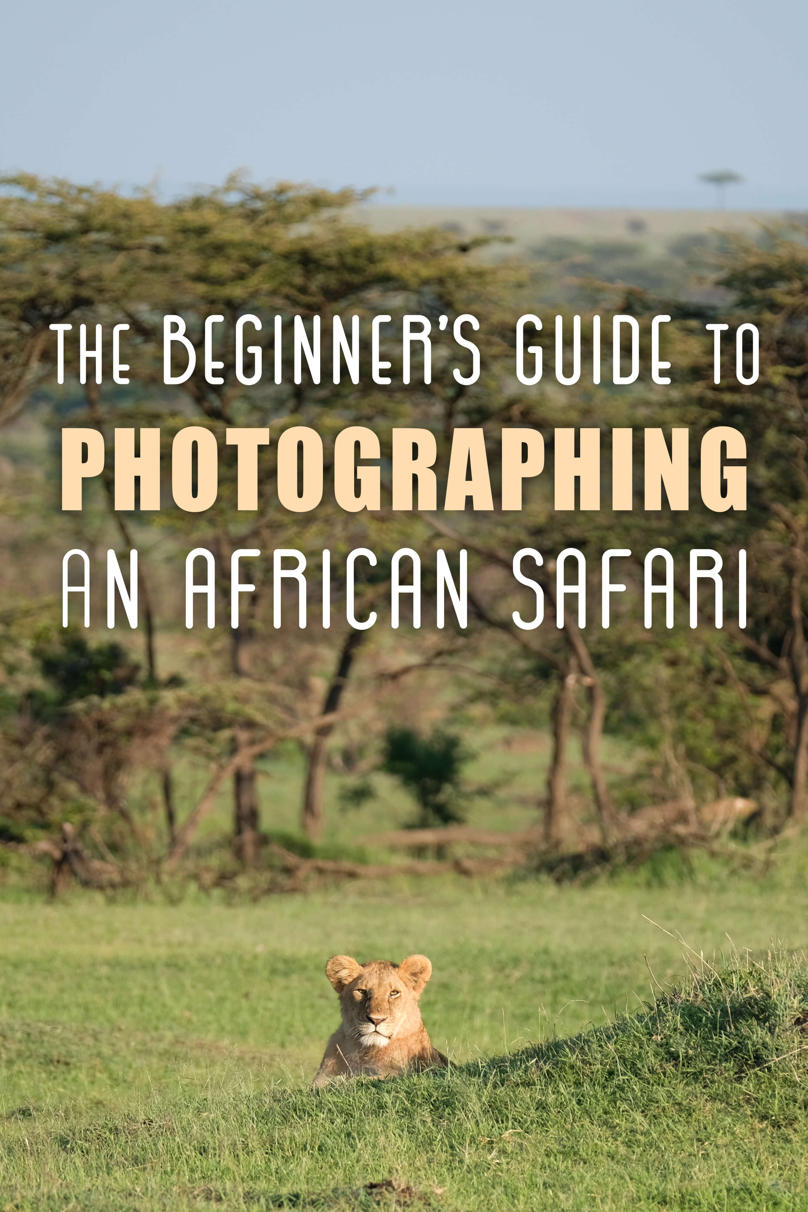 Beginner's Guide to Photographing an African Safari