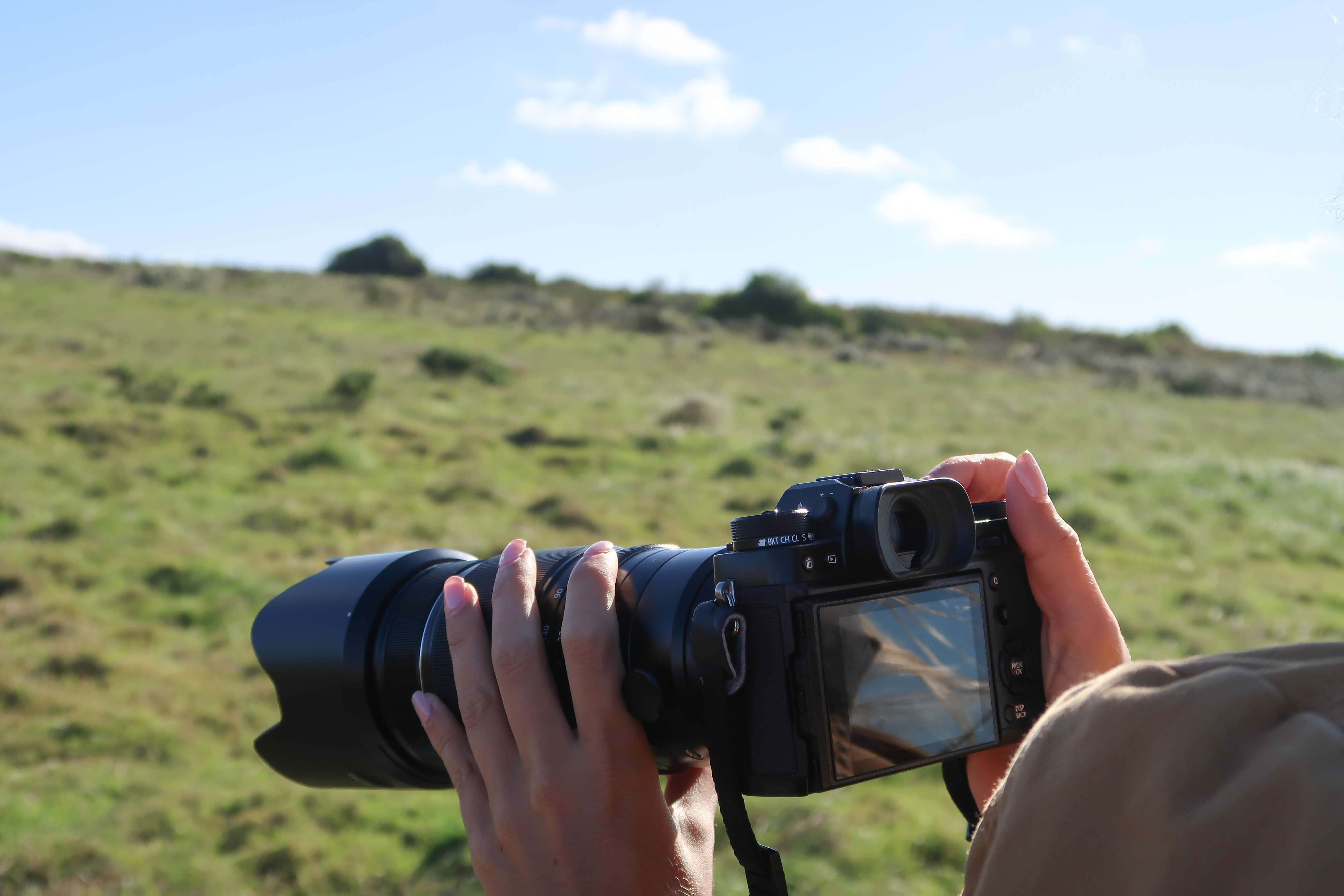 Shooting on safari with Fujifilm X-T2