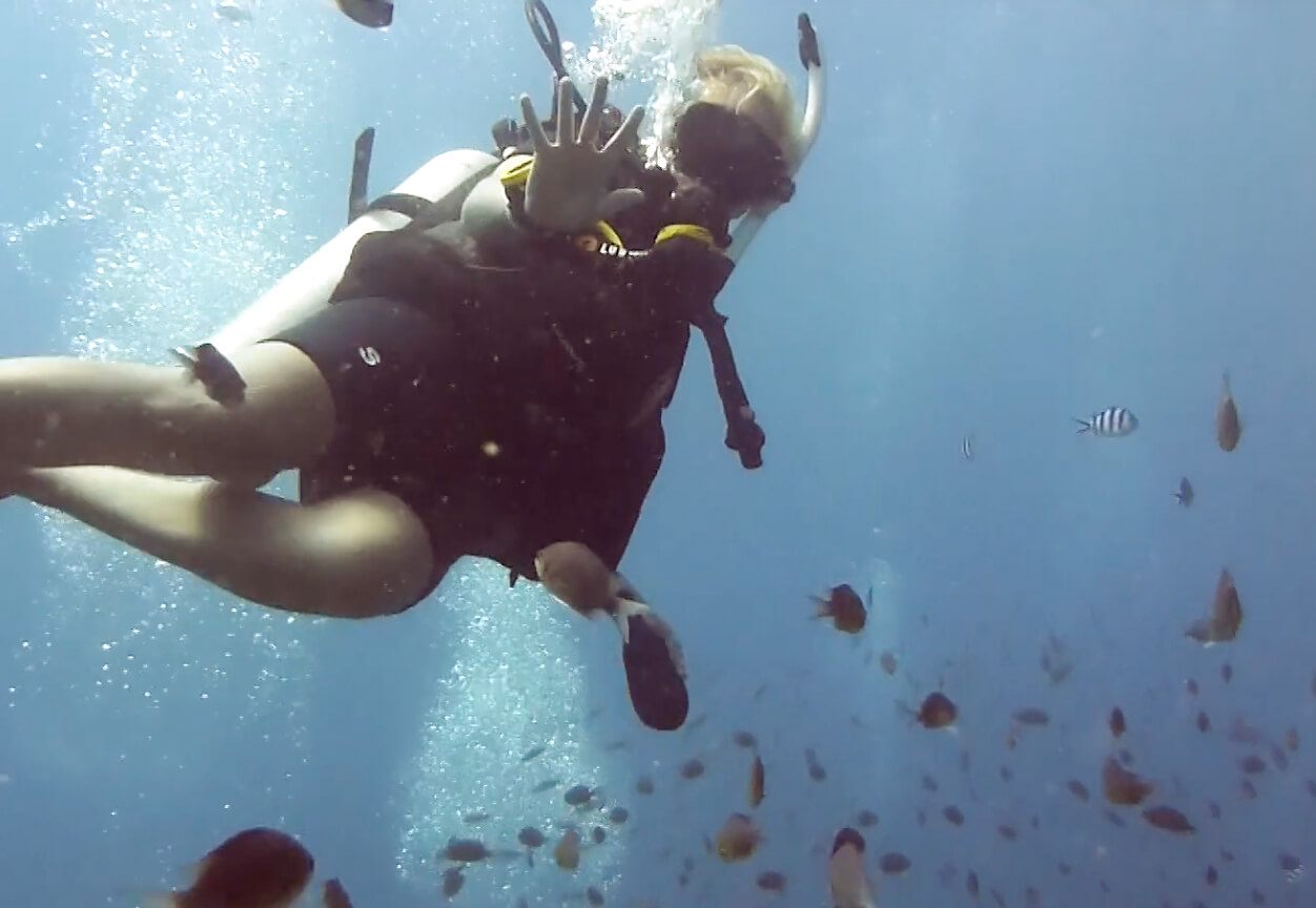 Getting Scuba Certified In Koh Tao With Roctopus Dive • The Blonde Abroad