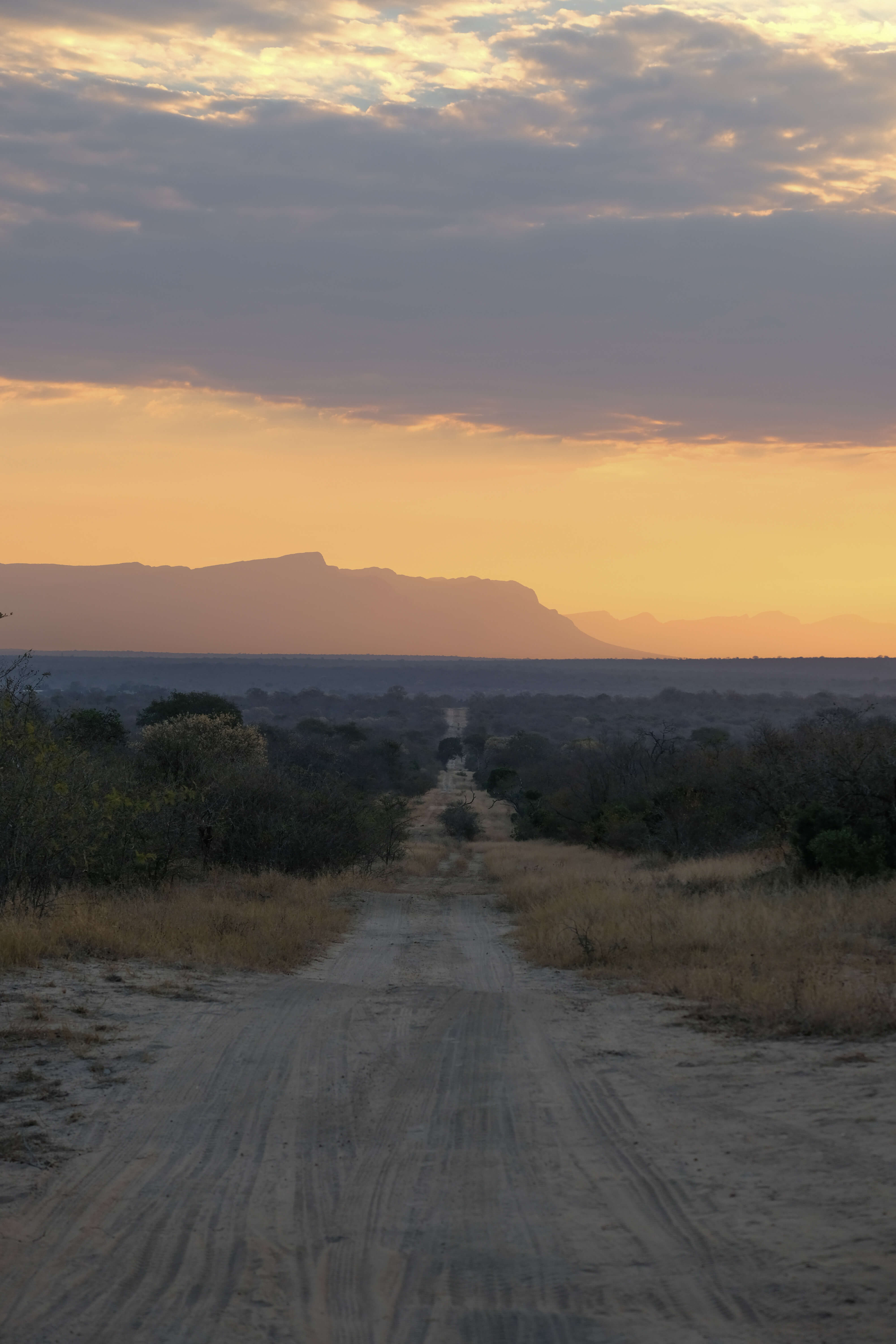 road to the royal malewane