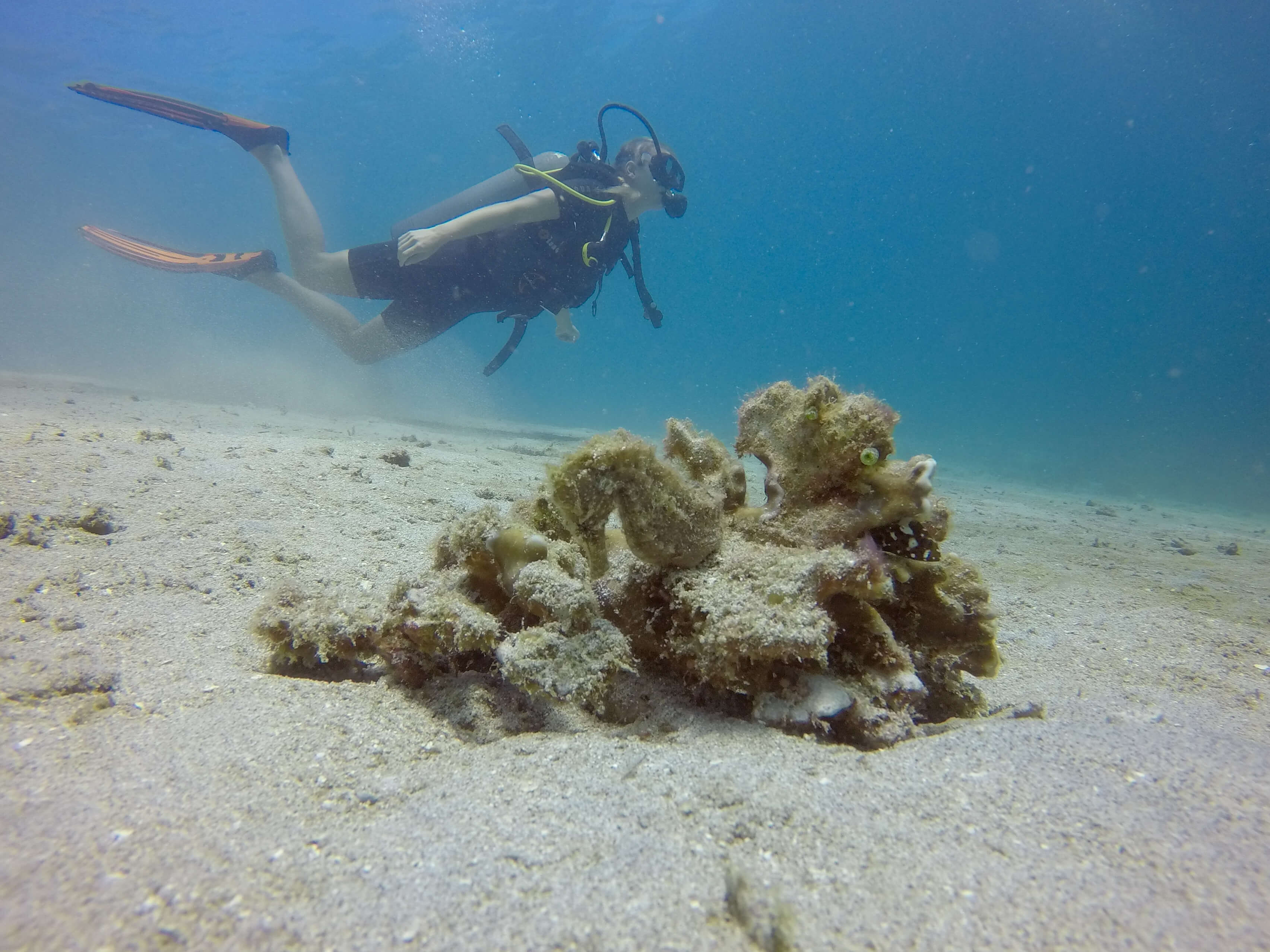 blonde diving in gili trawangan