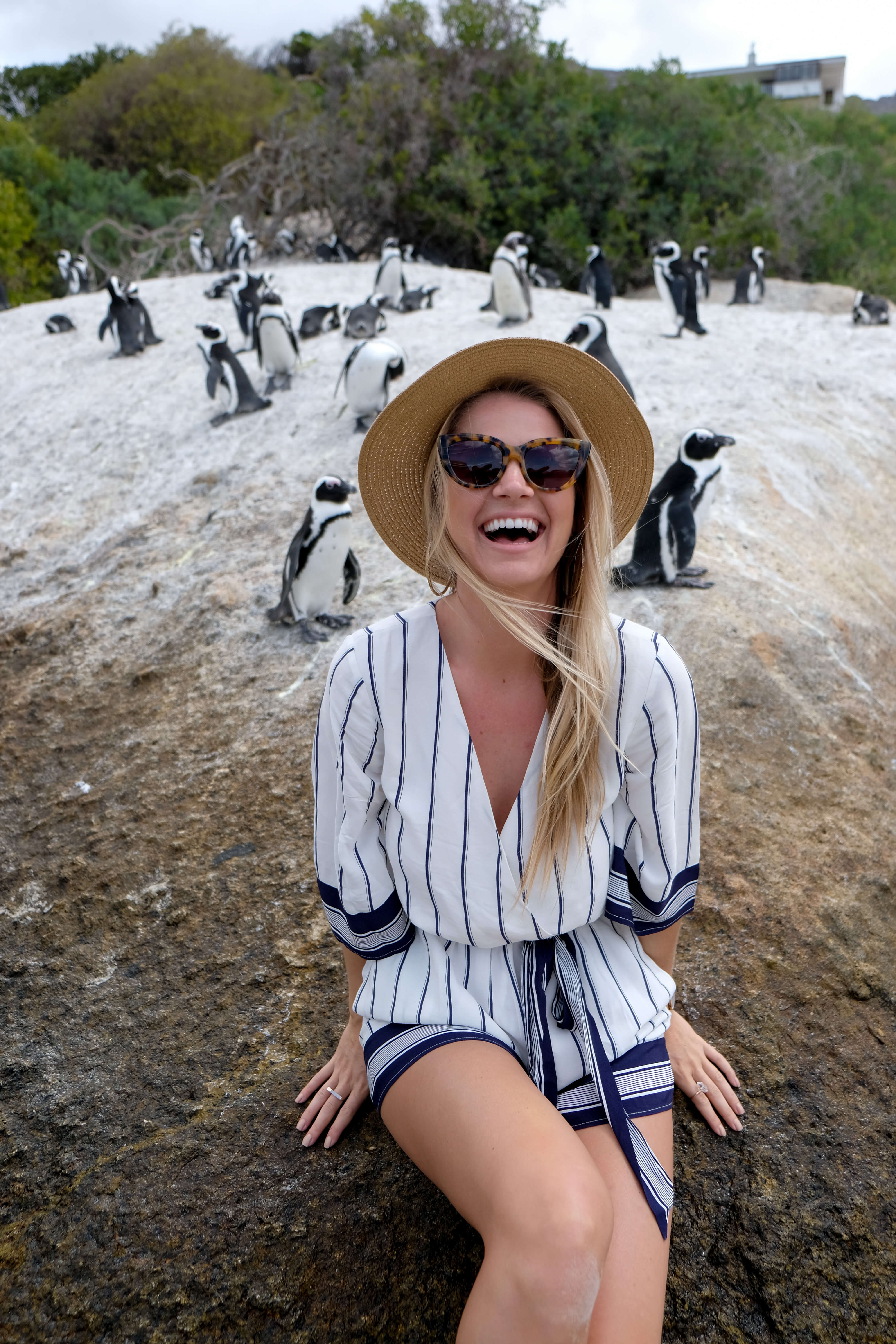 blonde and penguins in south africa