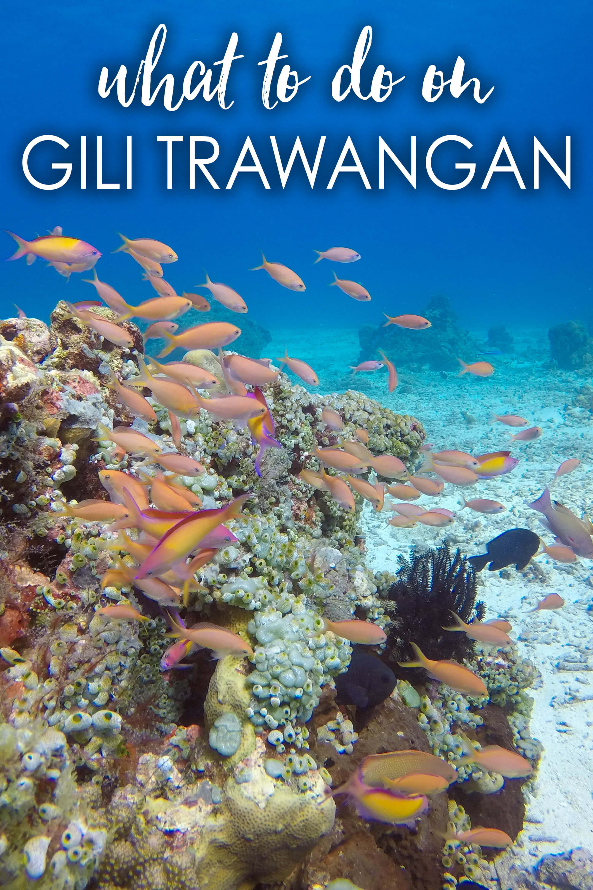 what-to-do on gili trawangan