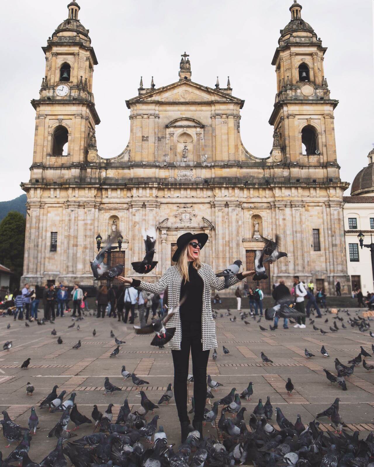 Birds in Bogota