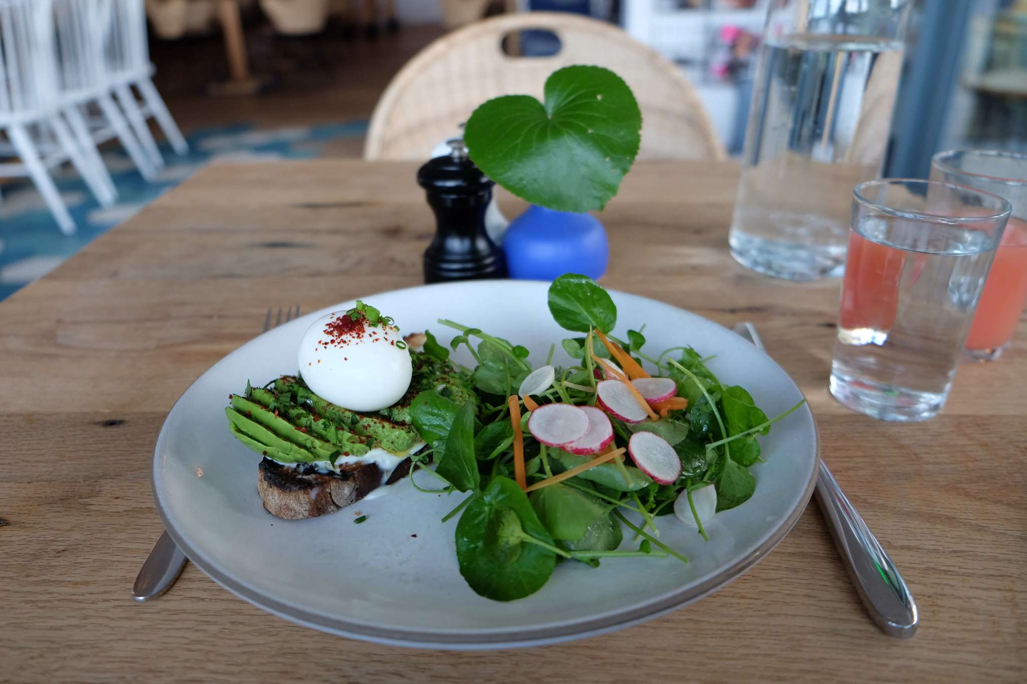 Avocado Toast in Austin, Texas