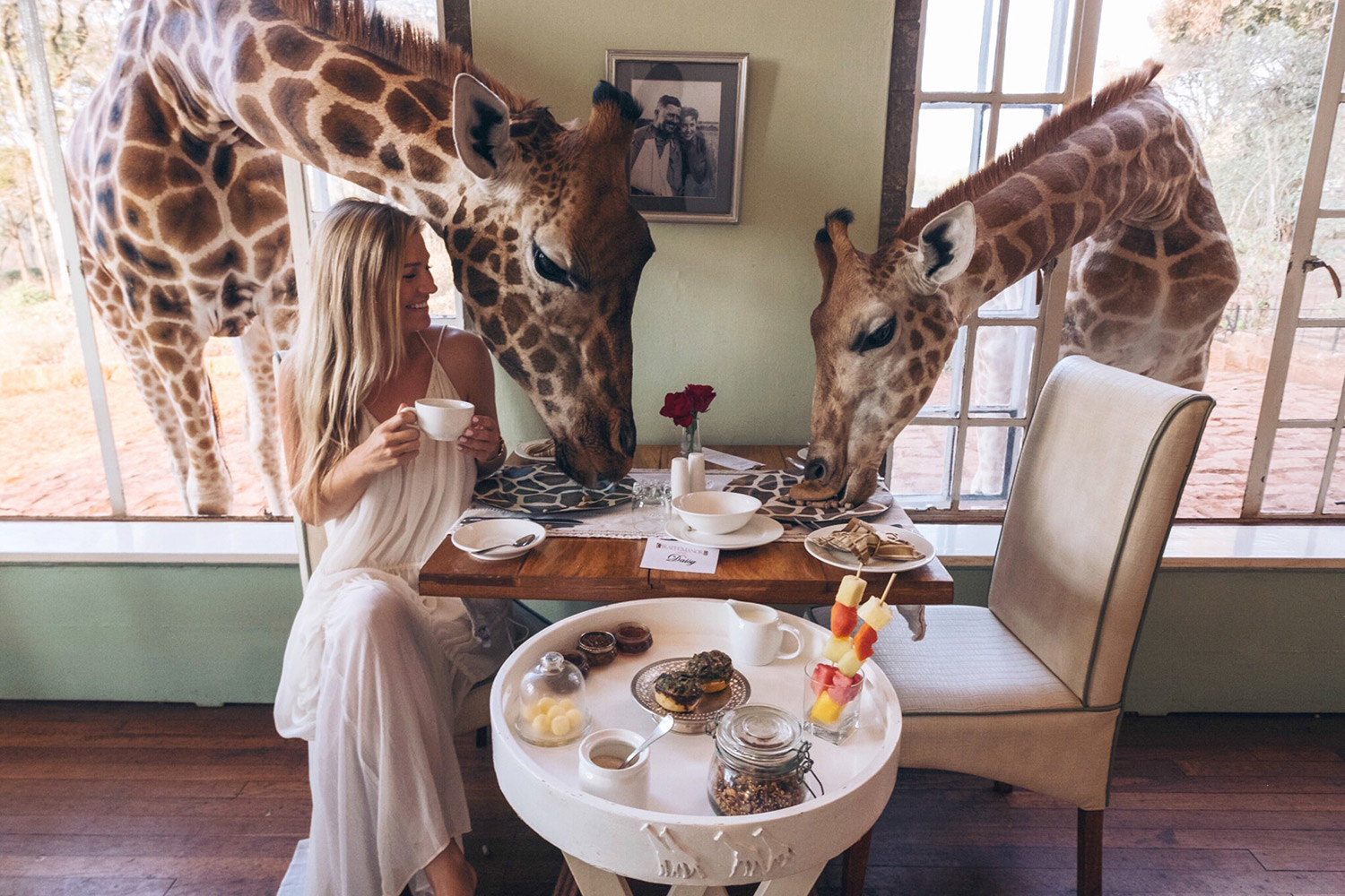 20 Photos to Inspire You to Visit Botswana • The Blonde Abroad