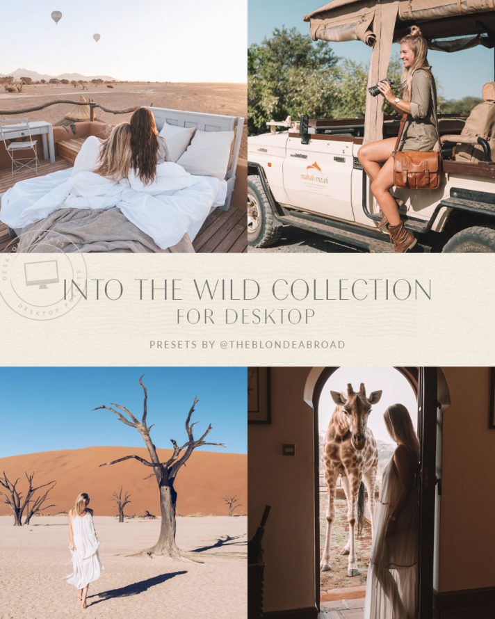 Into the Wild Collection [DVD](品)　(shin