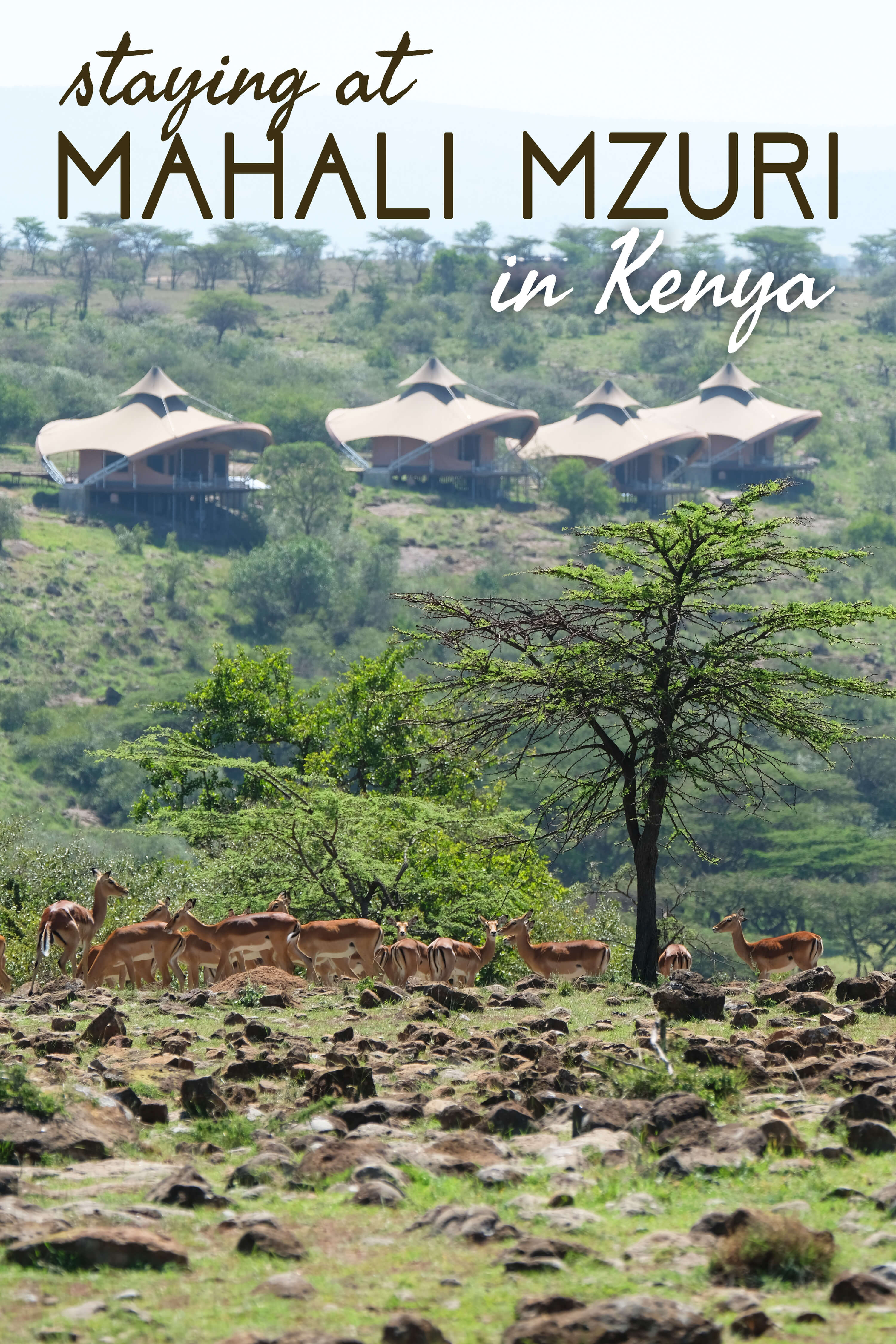 Staying at Mahali Mzuri in Kenya
