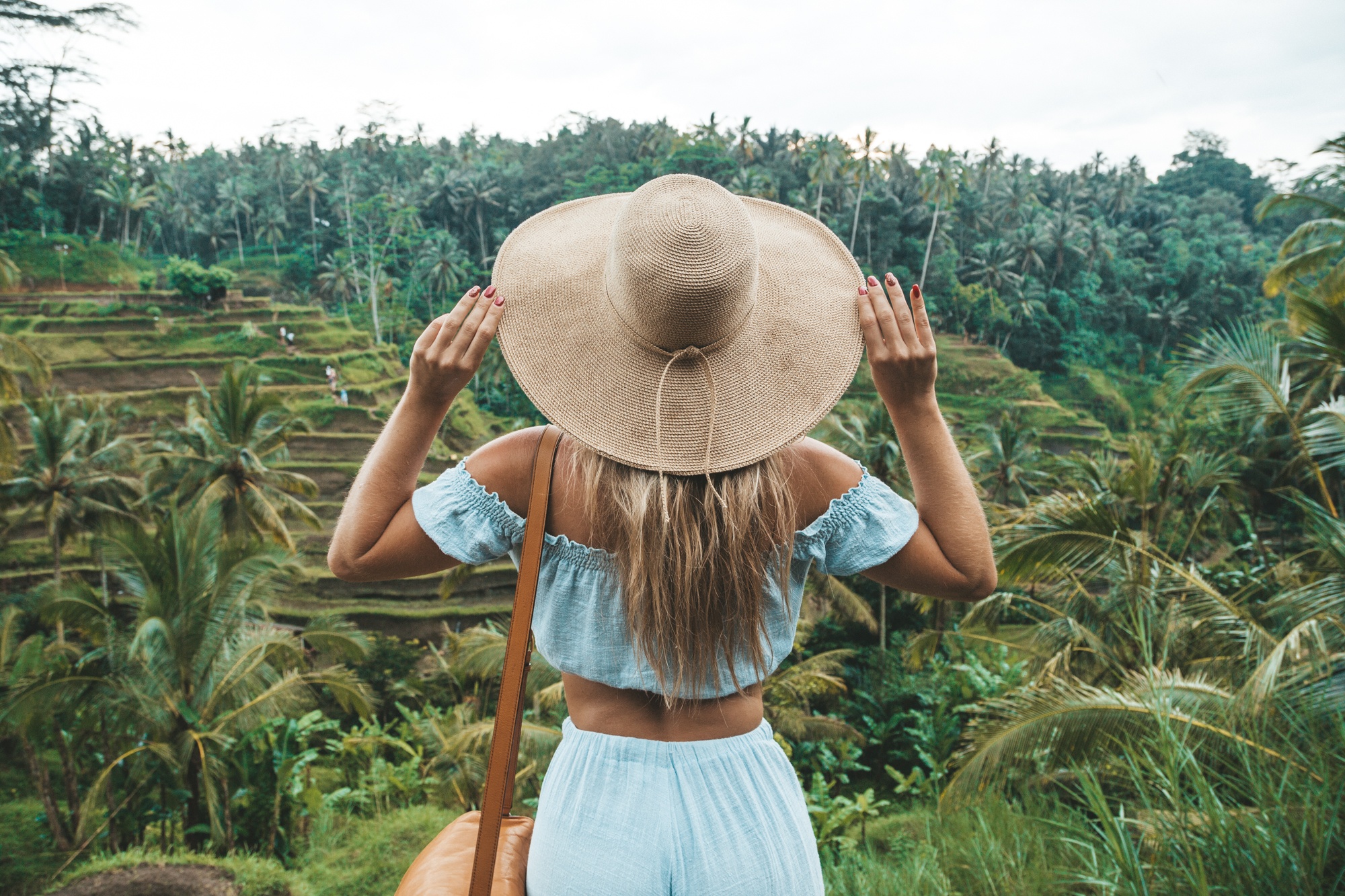 J1 Into the Jungle Lightroom Presets