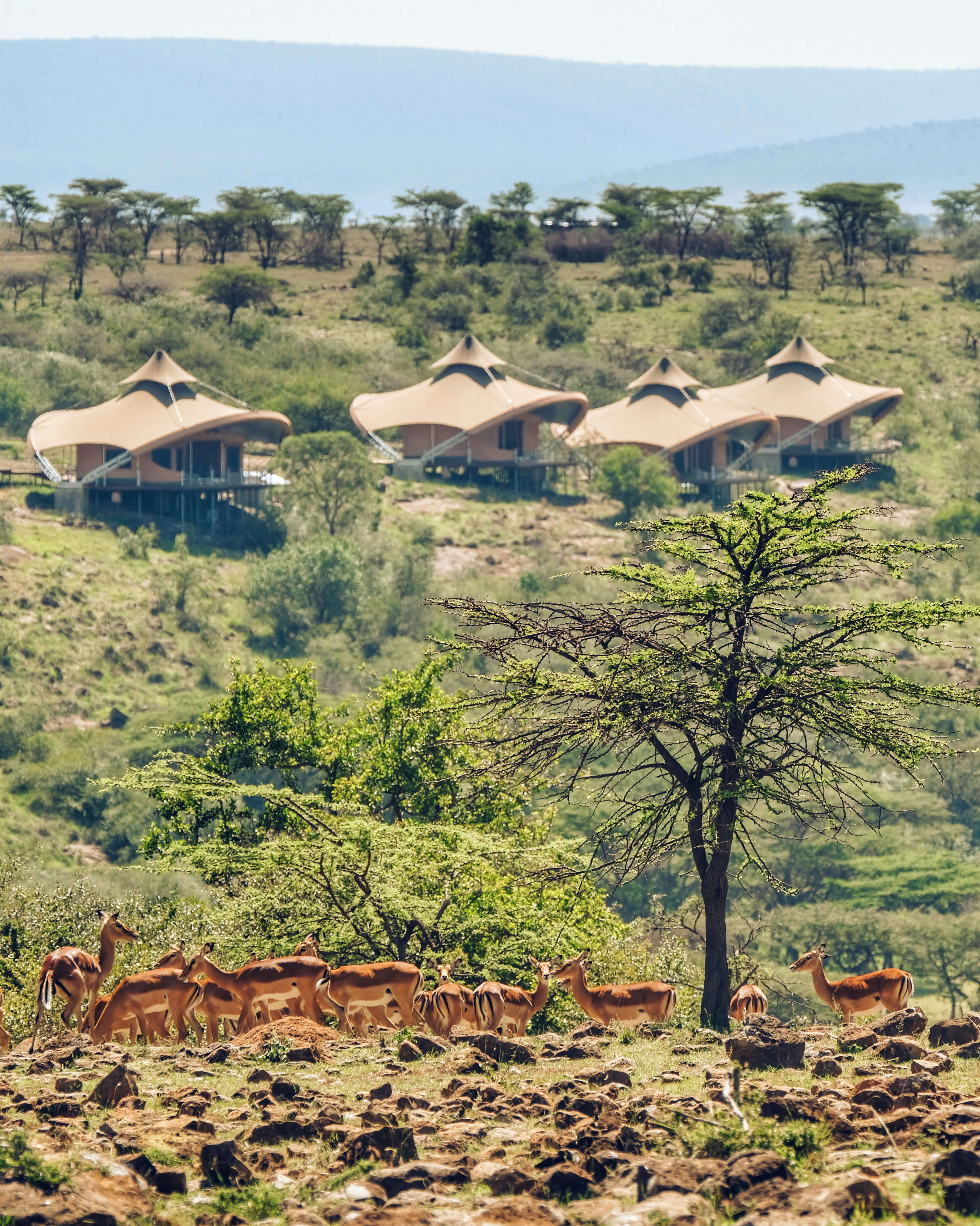 mahali in kenya