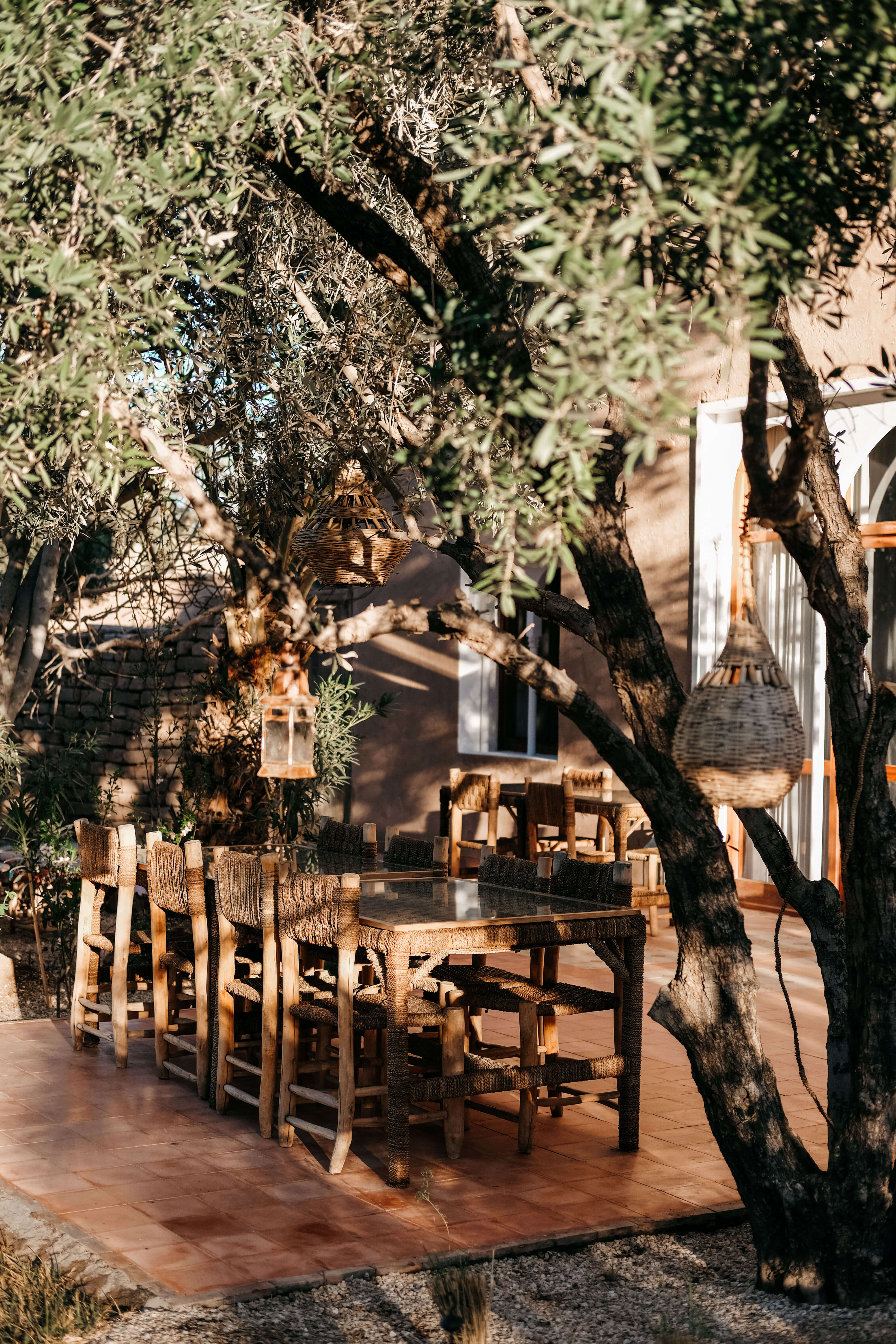 trees at l'ma lodge in Morocco