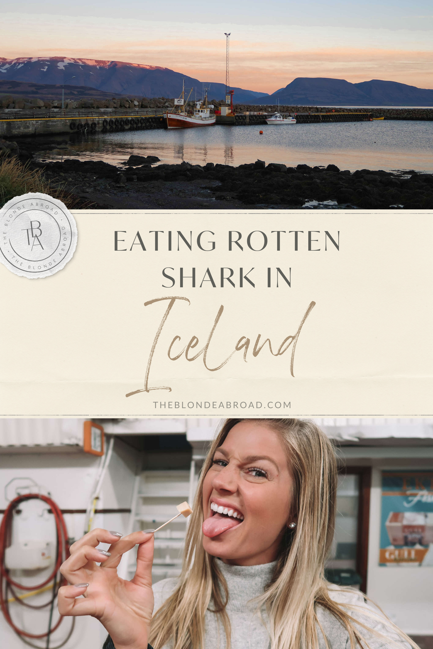 Eating Rotten Shark in Iceland