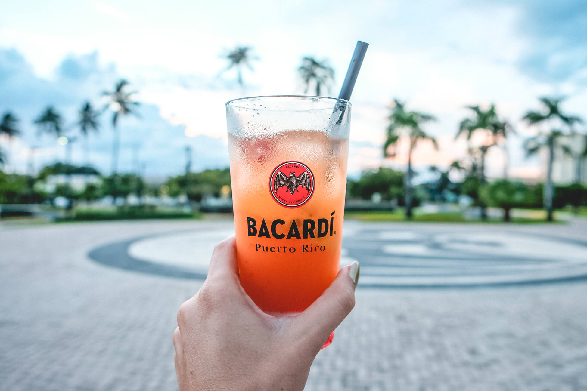 bacardi in puerto rico