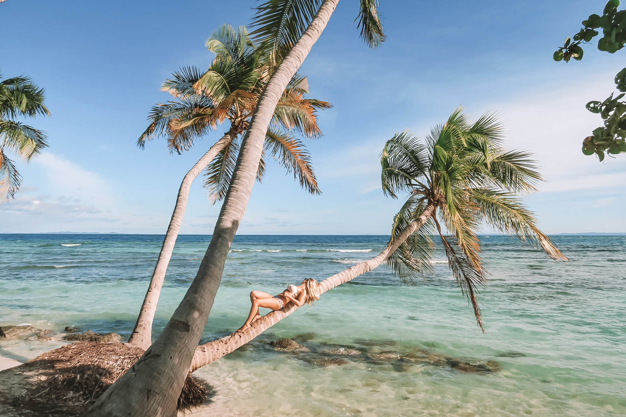 blonde on palm tree in puerto rico