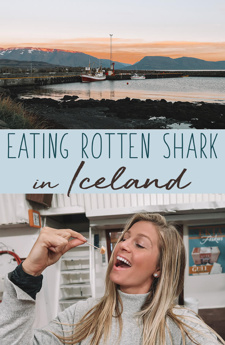 eating-rotten-shark-in-iceland