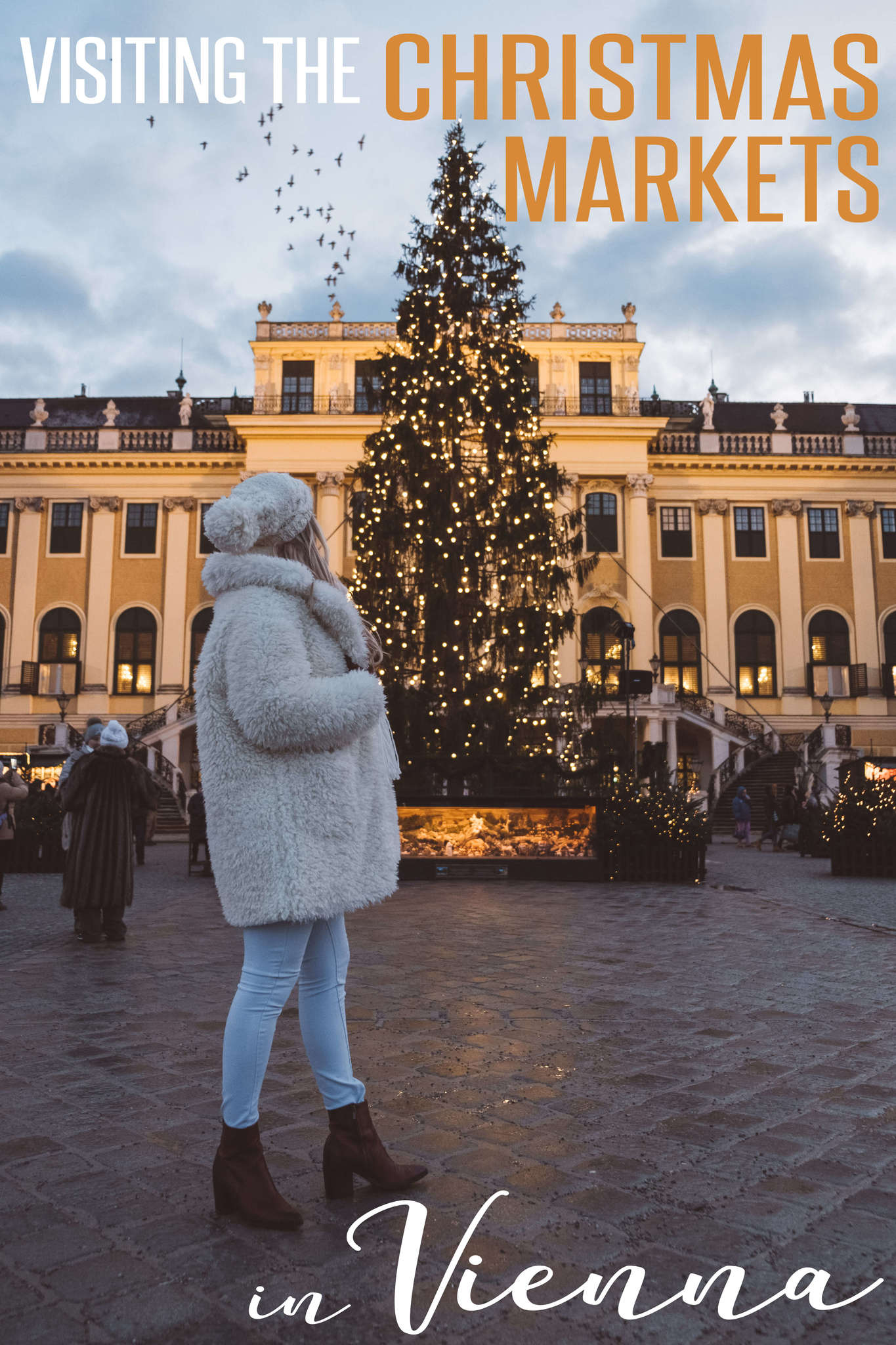 Visiting the Christmas Markets in Vienna