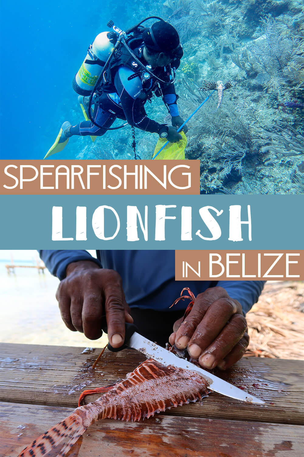 Spearfishing Lionfish in Belize