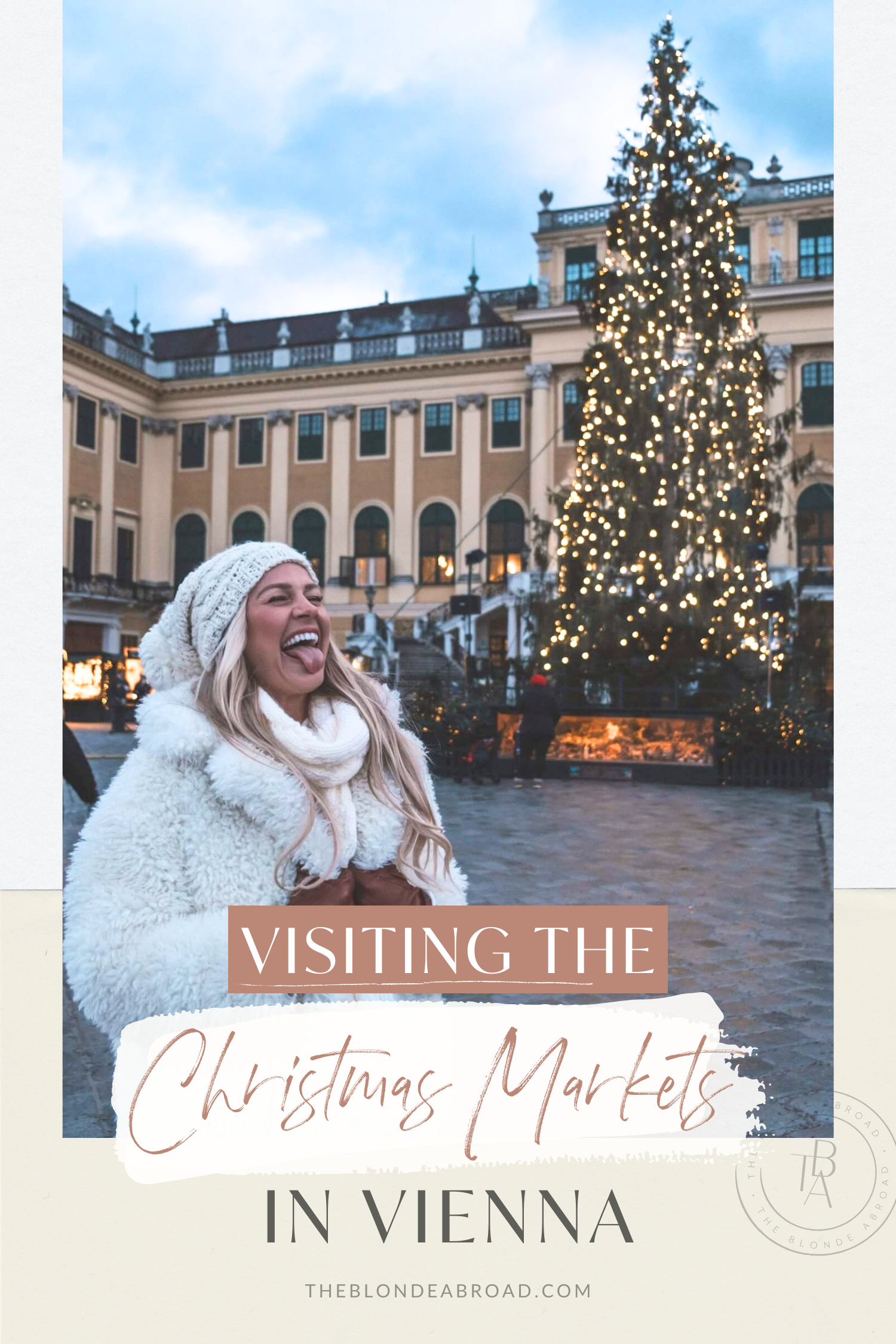 Visiting the Christmas Markets in Vienna