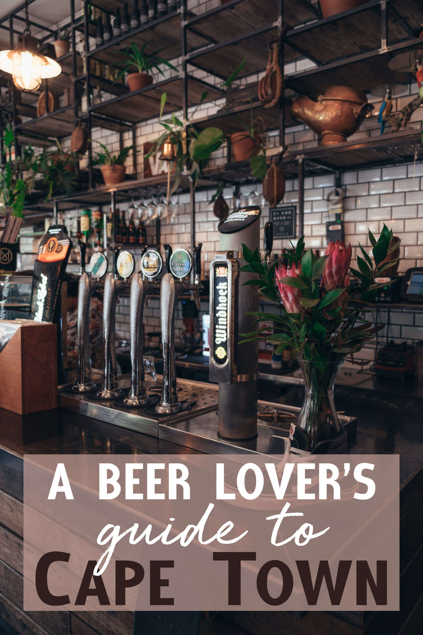 A Beer Lover's Guide to Cape Town
