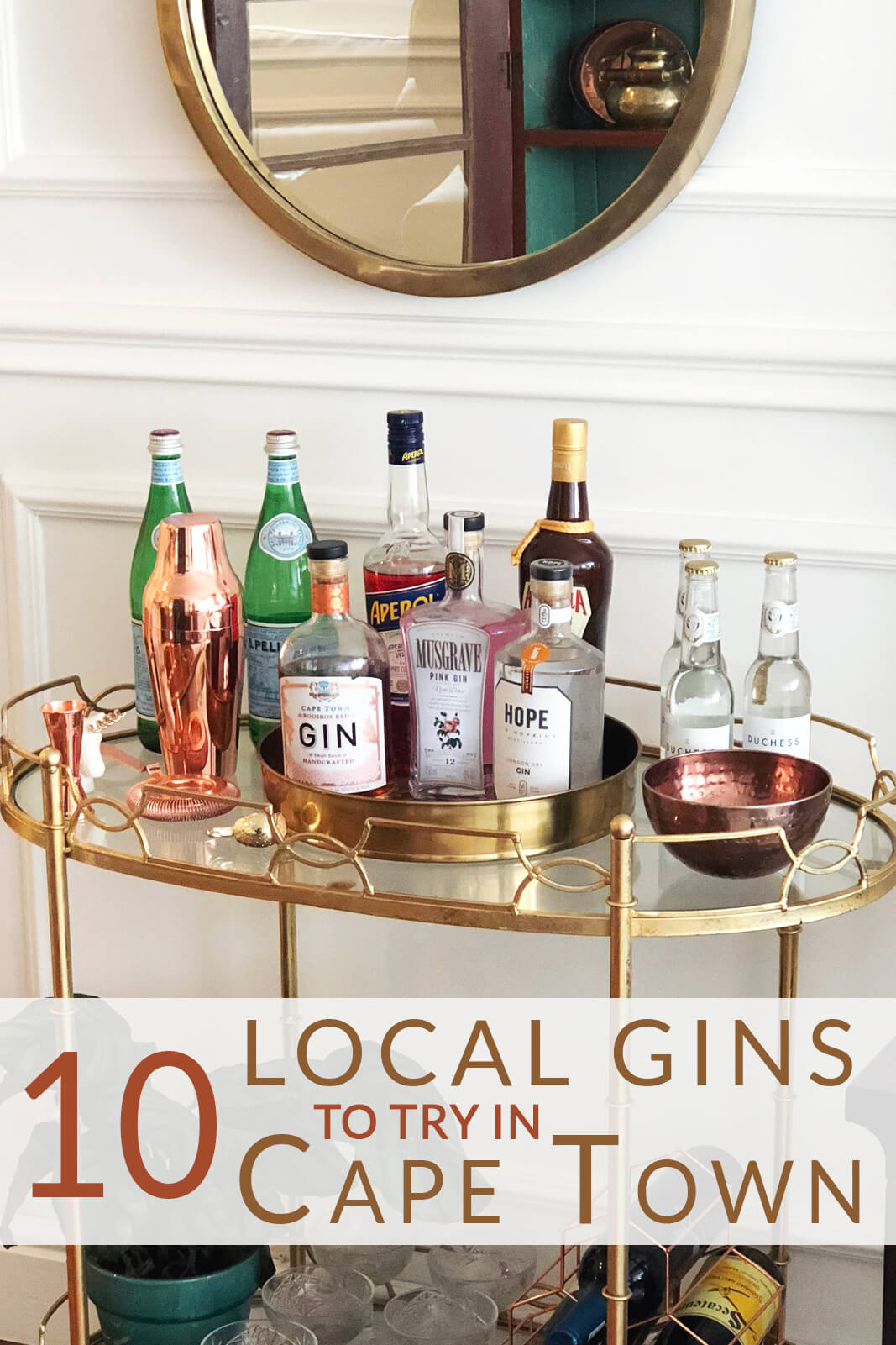 10 Local Gins to Try in Cape Town