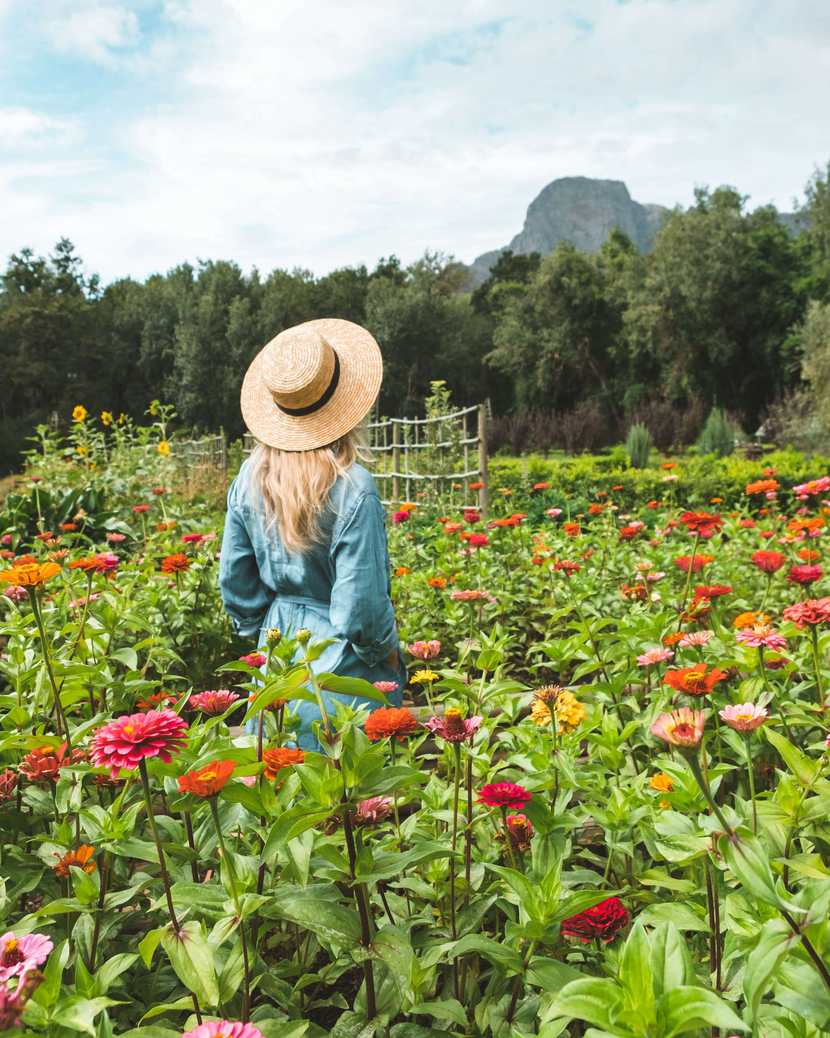 Blonde in Garden at Boschendal