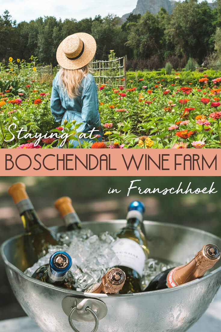 Staying at Boschendal Wine Farm 