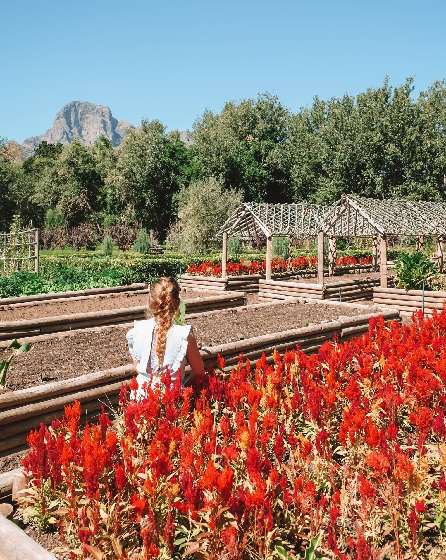 Garden at Boschendal