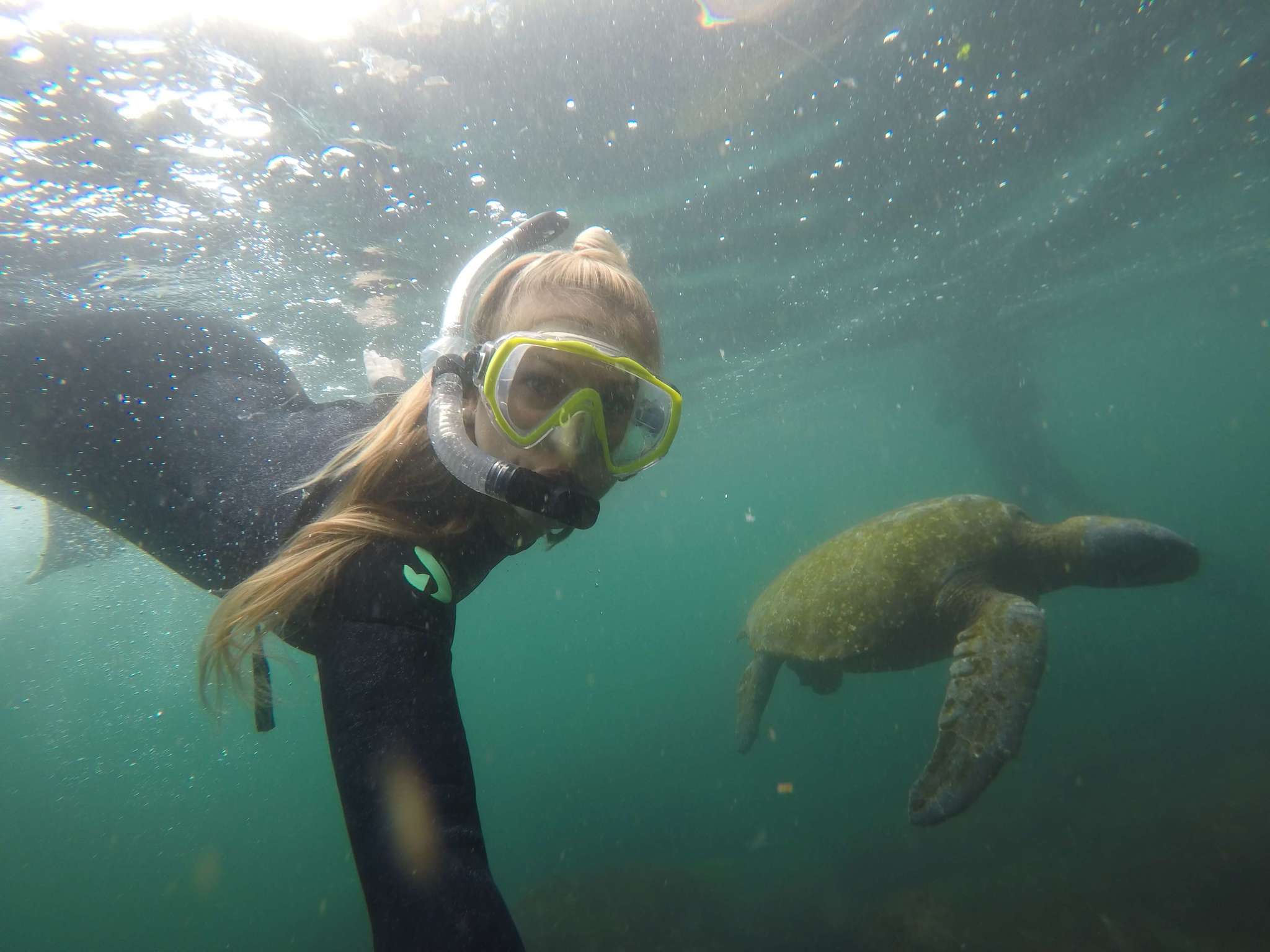 Diving in the Galapagos Islands