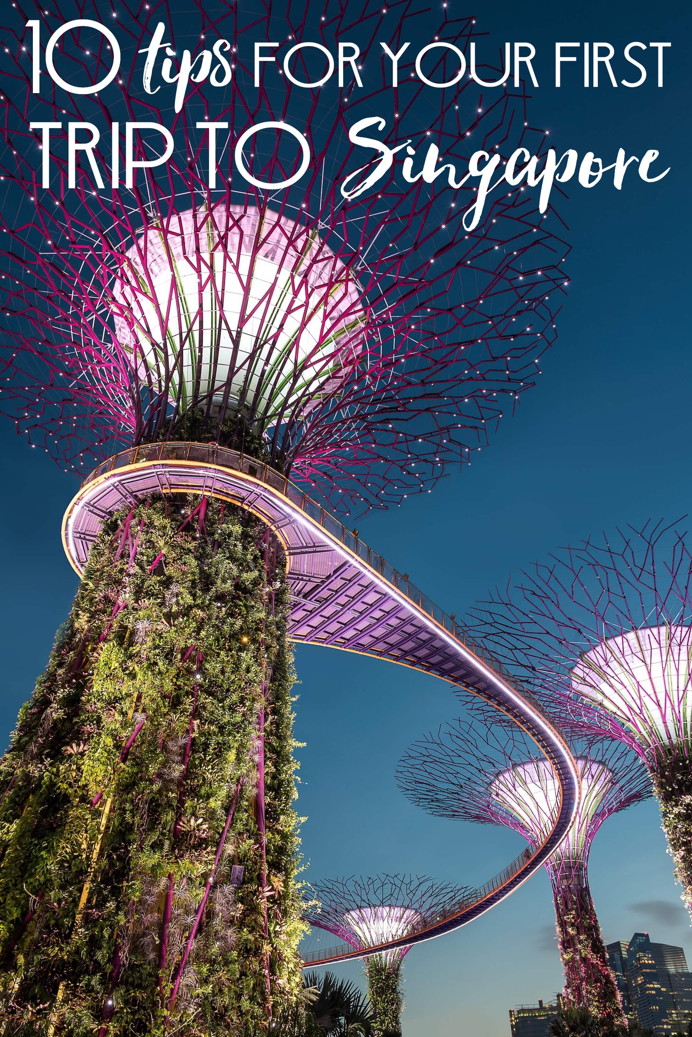 10 Tips for Your First Trip to Singapore