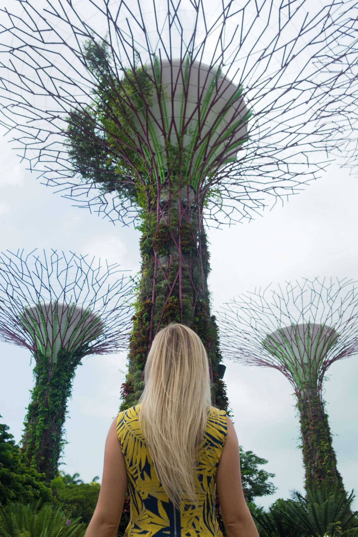 SuperTree / garden by the bay