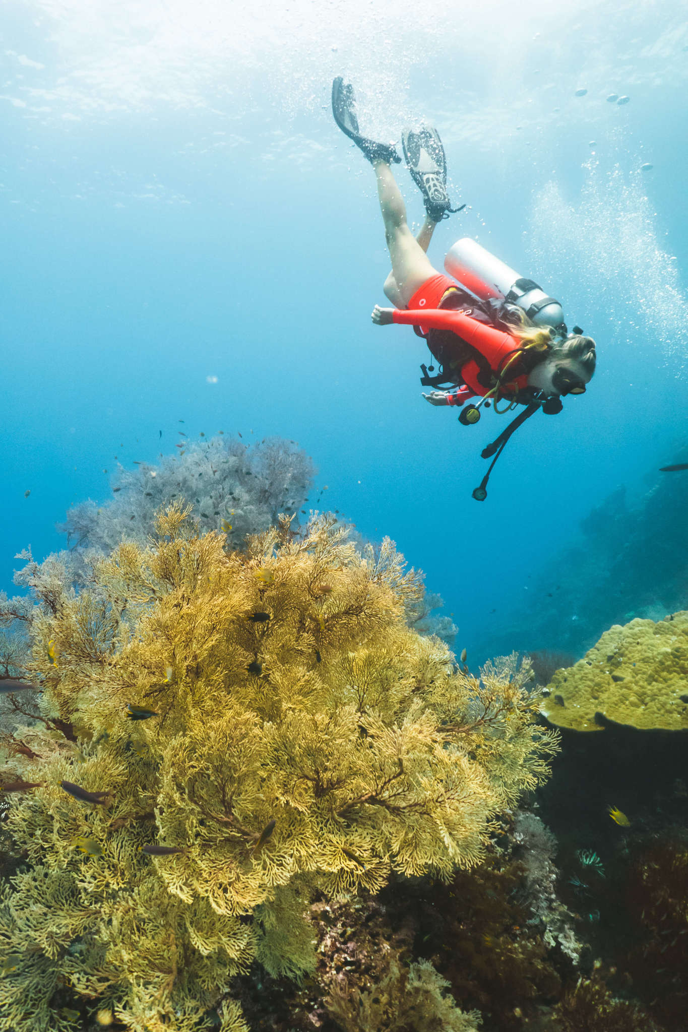 Diving in Raja Ampat